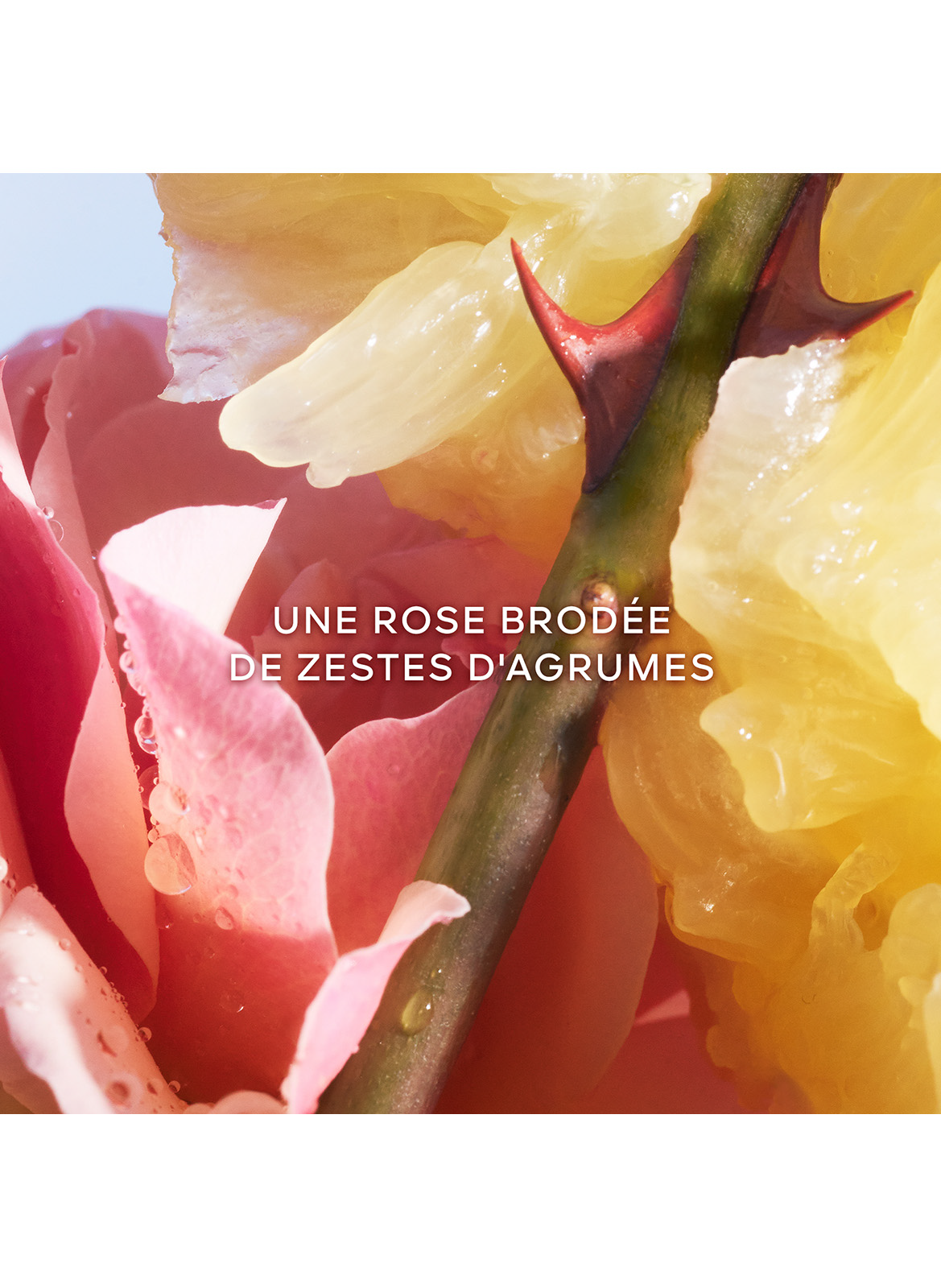 De Kleine Zwarte Jurk - Eau de Toilette Geschenkset GUERLAIN No color