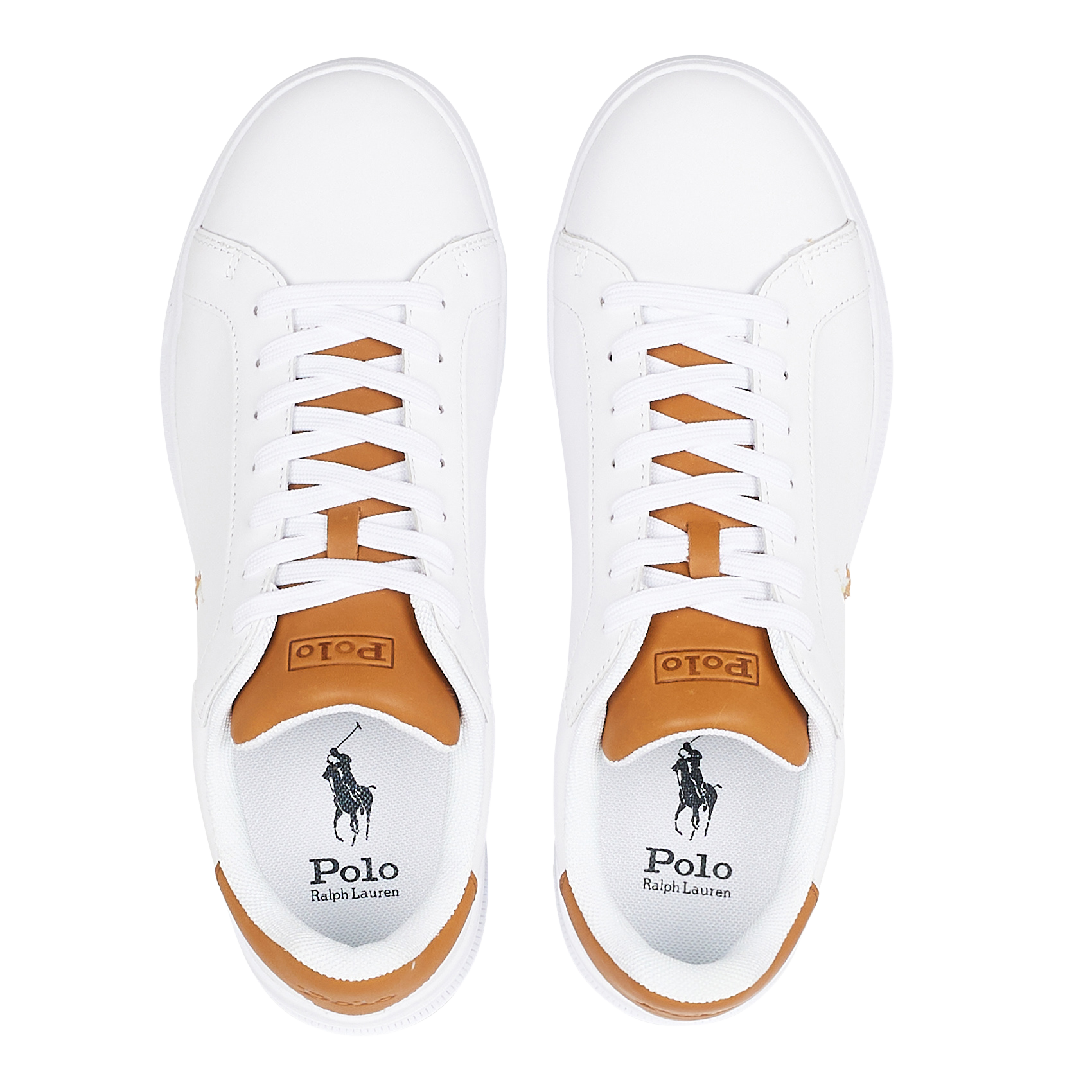 Baskets basses en cuir POLO RALPH LAUREN Multicolore