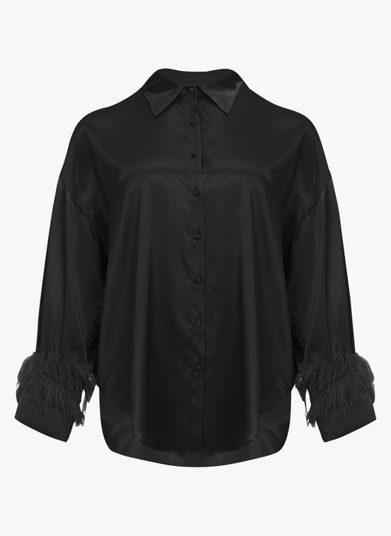 Camicetta Camicia Con Piume PINKO: Camicia Trasparente Con Piume