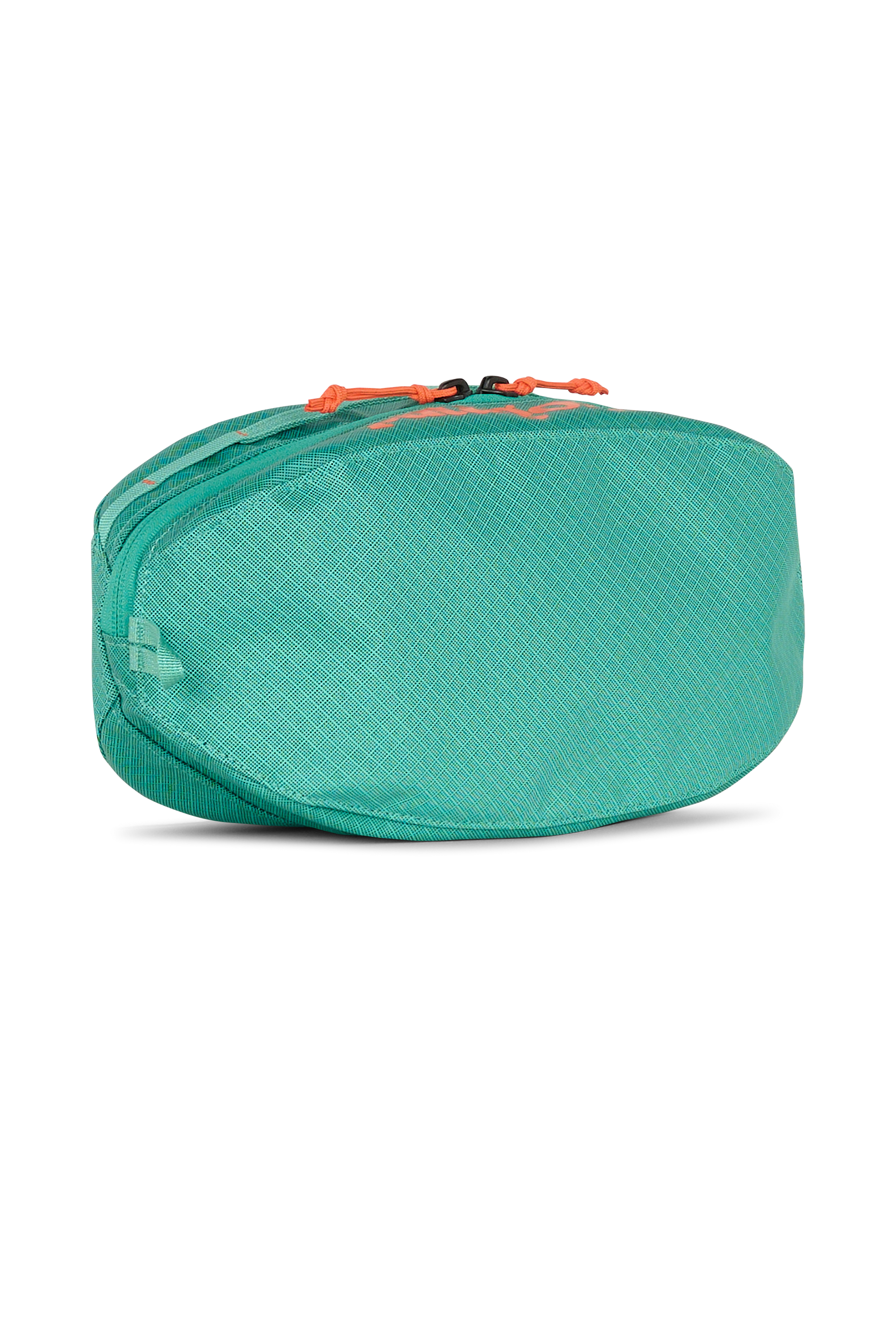 Pochette zippée 3L imprimée PATAGONIA Vert