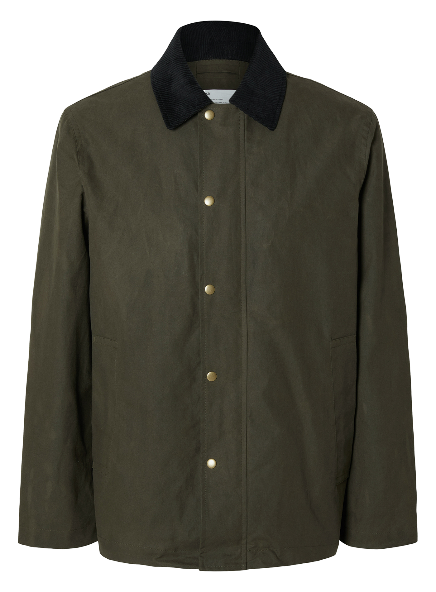 Straight cotton coat with classic collar SELECTED Green