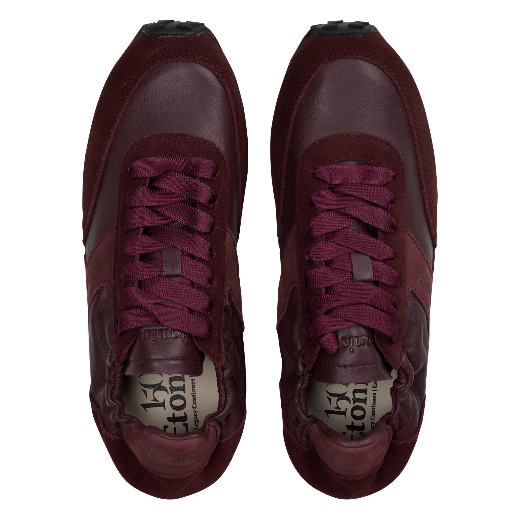 Low-top leather trainers ETONIC Purple