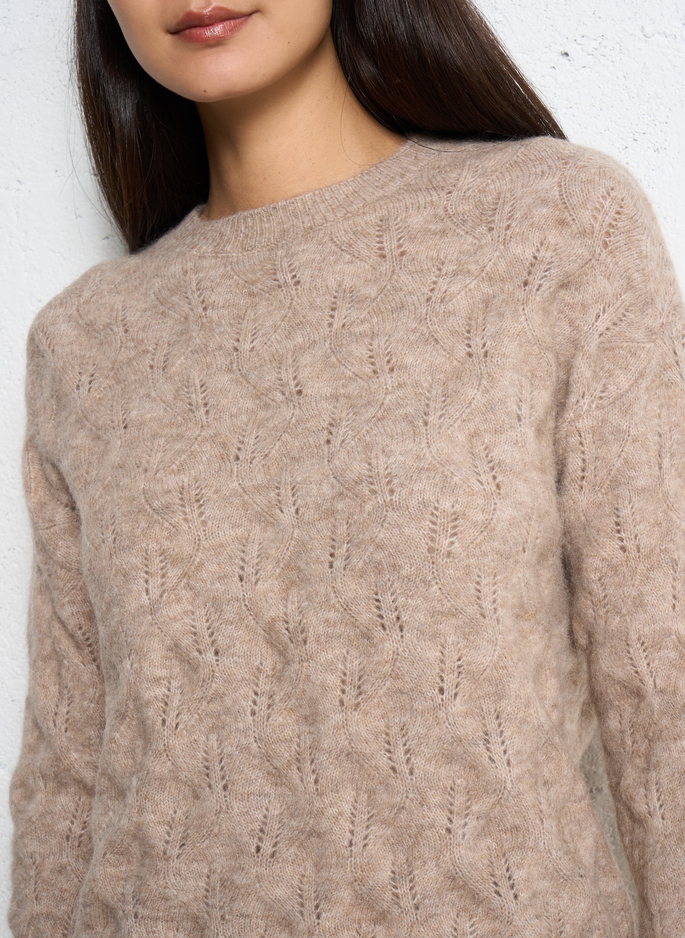Oversized round neck sweater in wool and alpaca blend SUD EXPRESS Brown