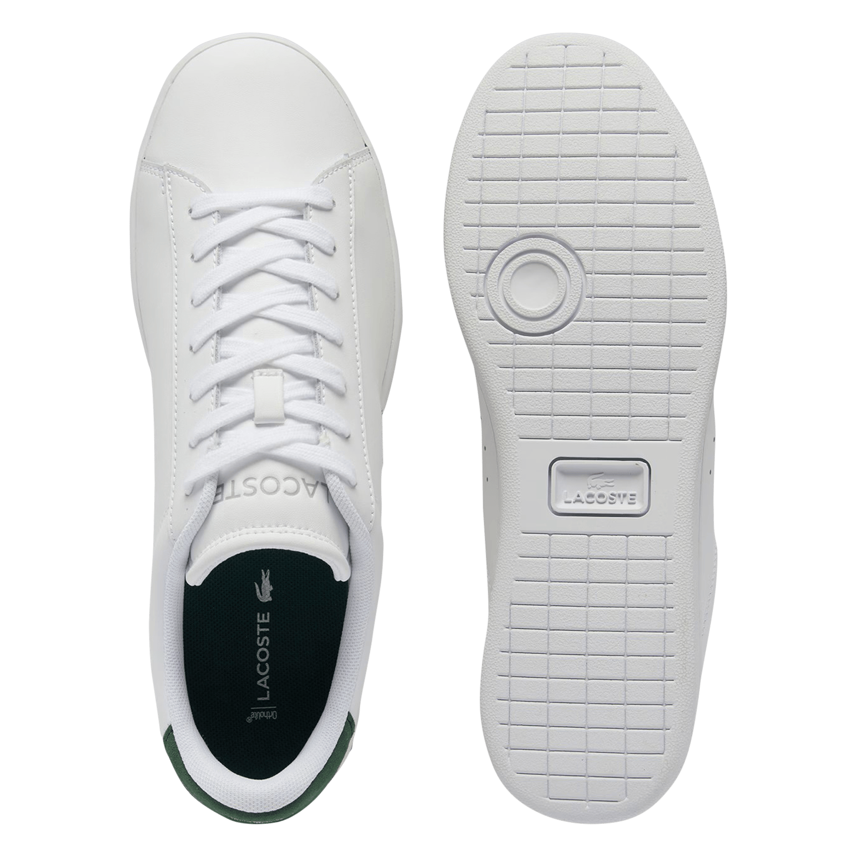 Baskets basses en cuir LACOSTE Blanc