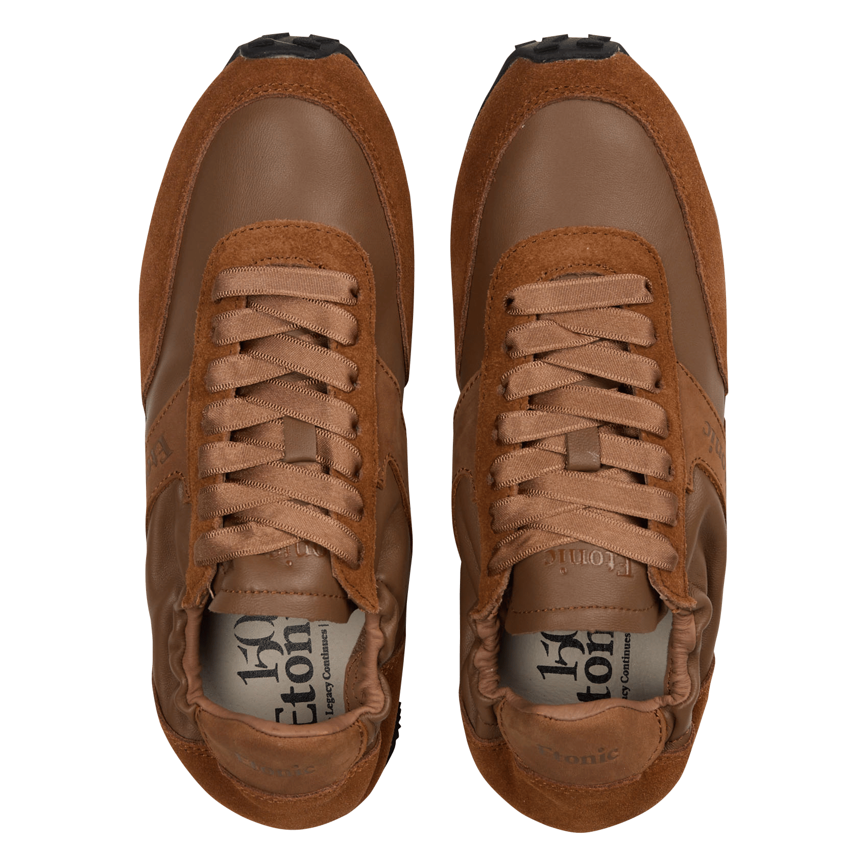 Low-top leather trainers ETONIC Brown