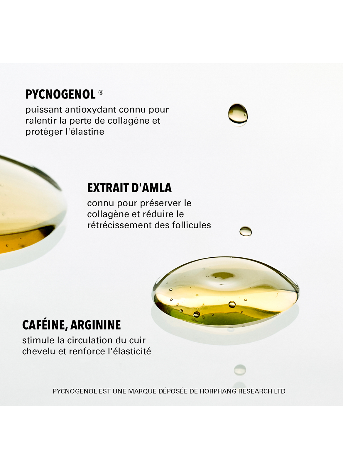 Youth Juice- Sérum pour cuir chevelu à base de collagène - cheveux clairsemés COLORWOW No color