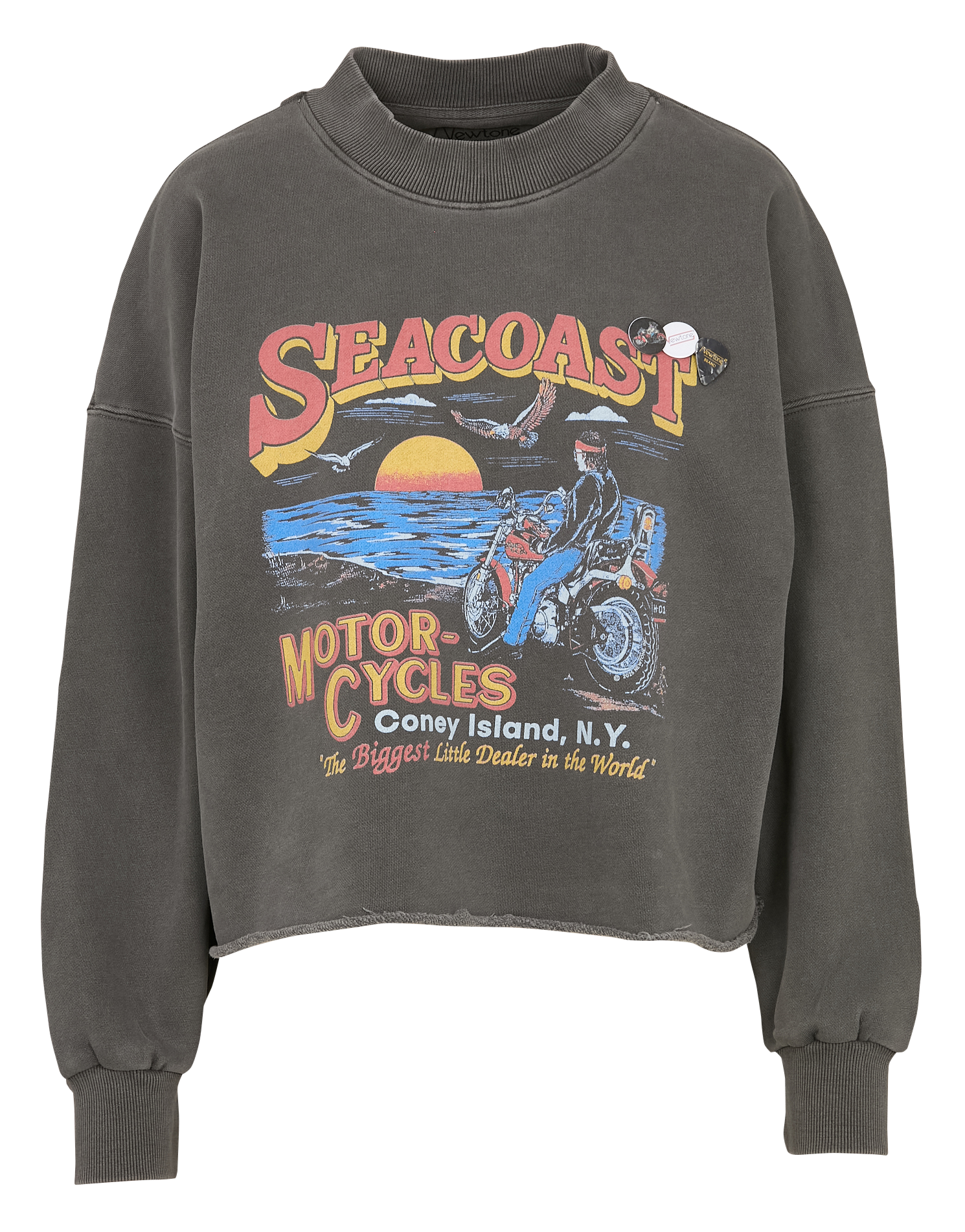 Sweat ample col montant sérigraphié en coton NEWTONE Gris