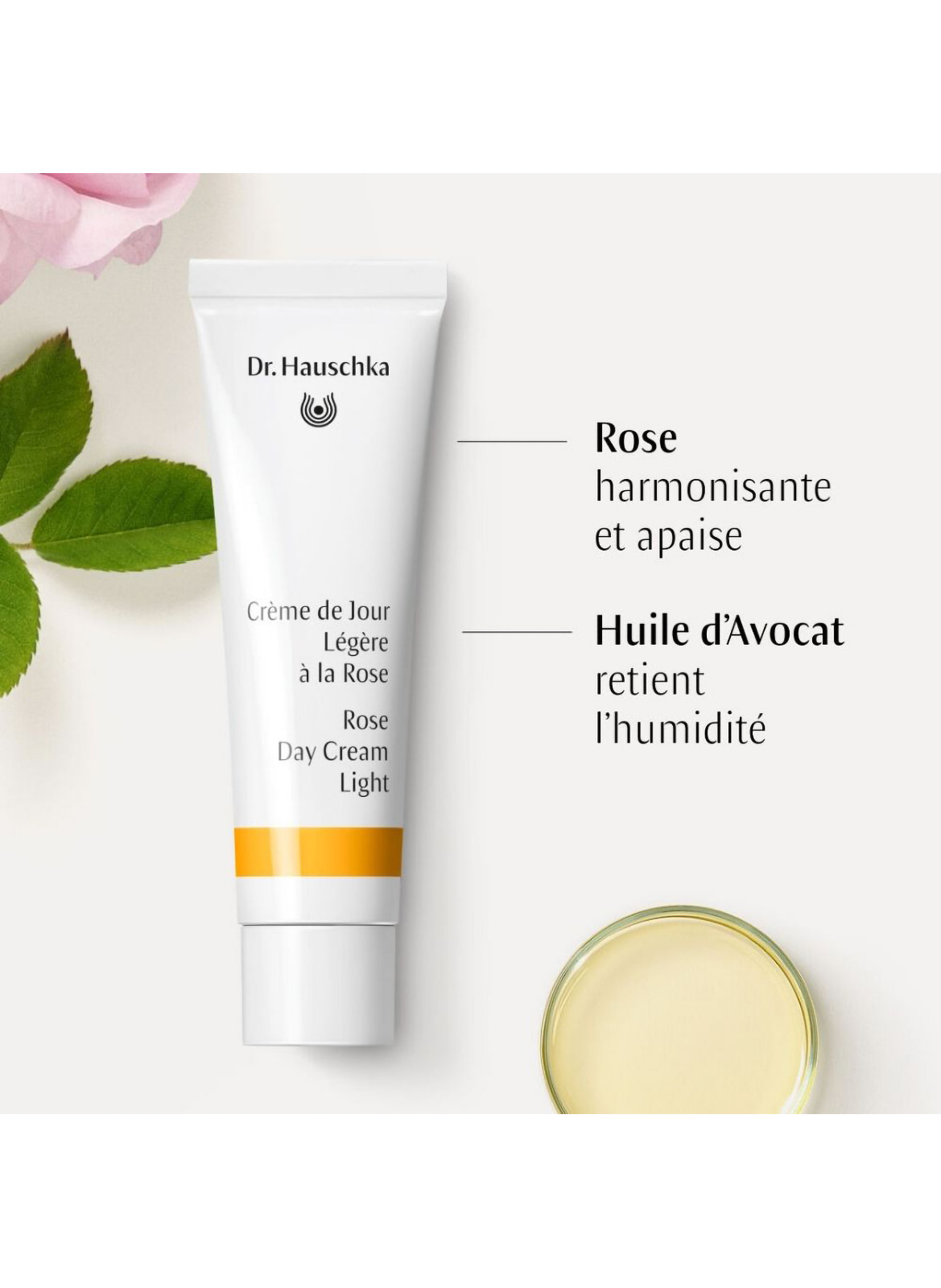 Rose Day cream DR. HAUSCHKA No color