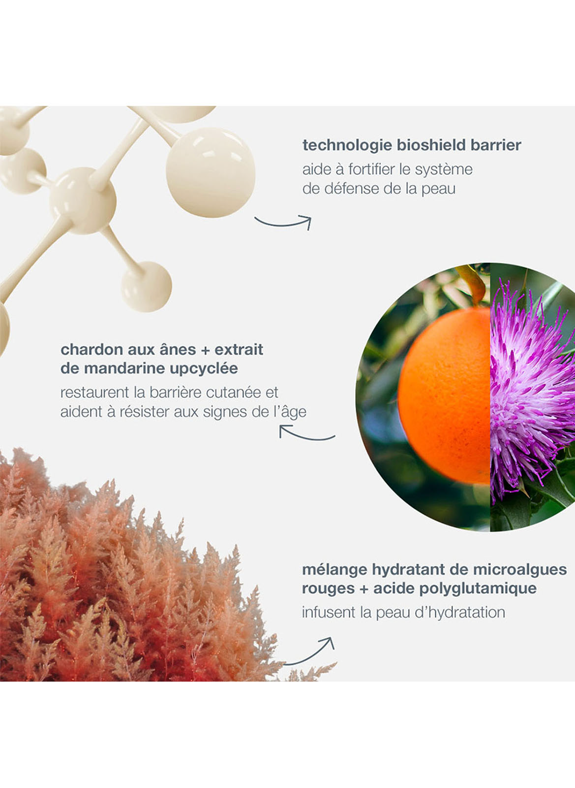 Dynamic Skin Strengthening Serum DERMALOGICA No color