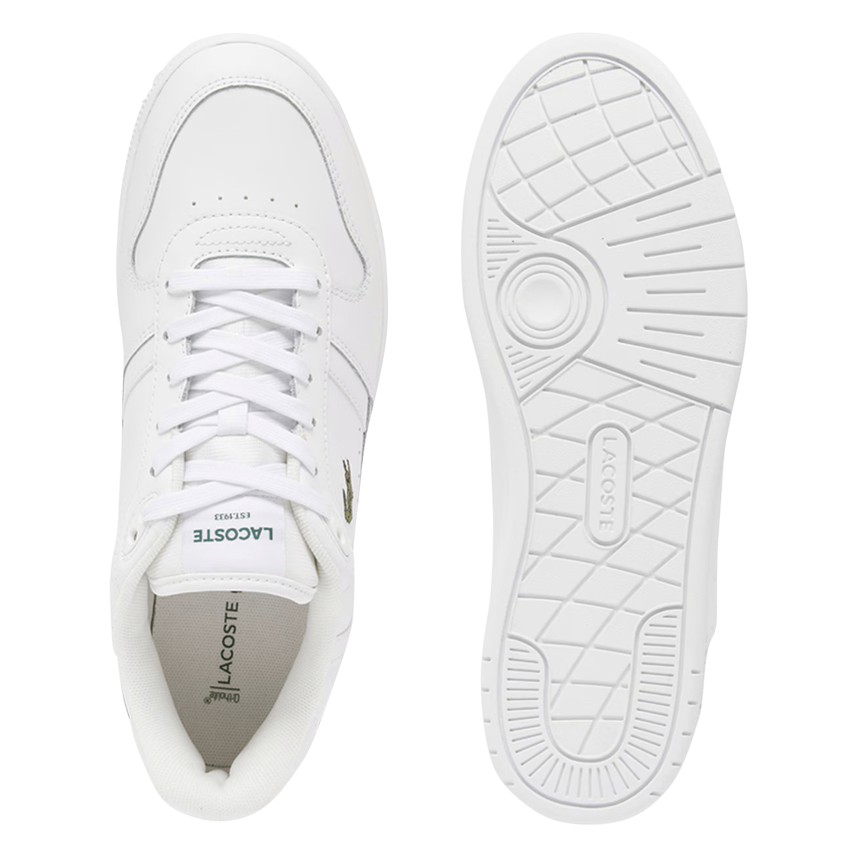 Lage, leren sneakers LACOSTE Veelkleurig