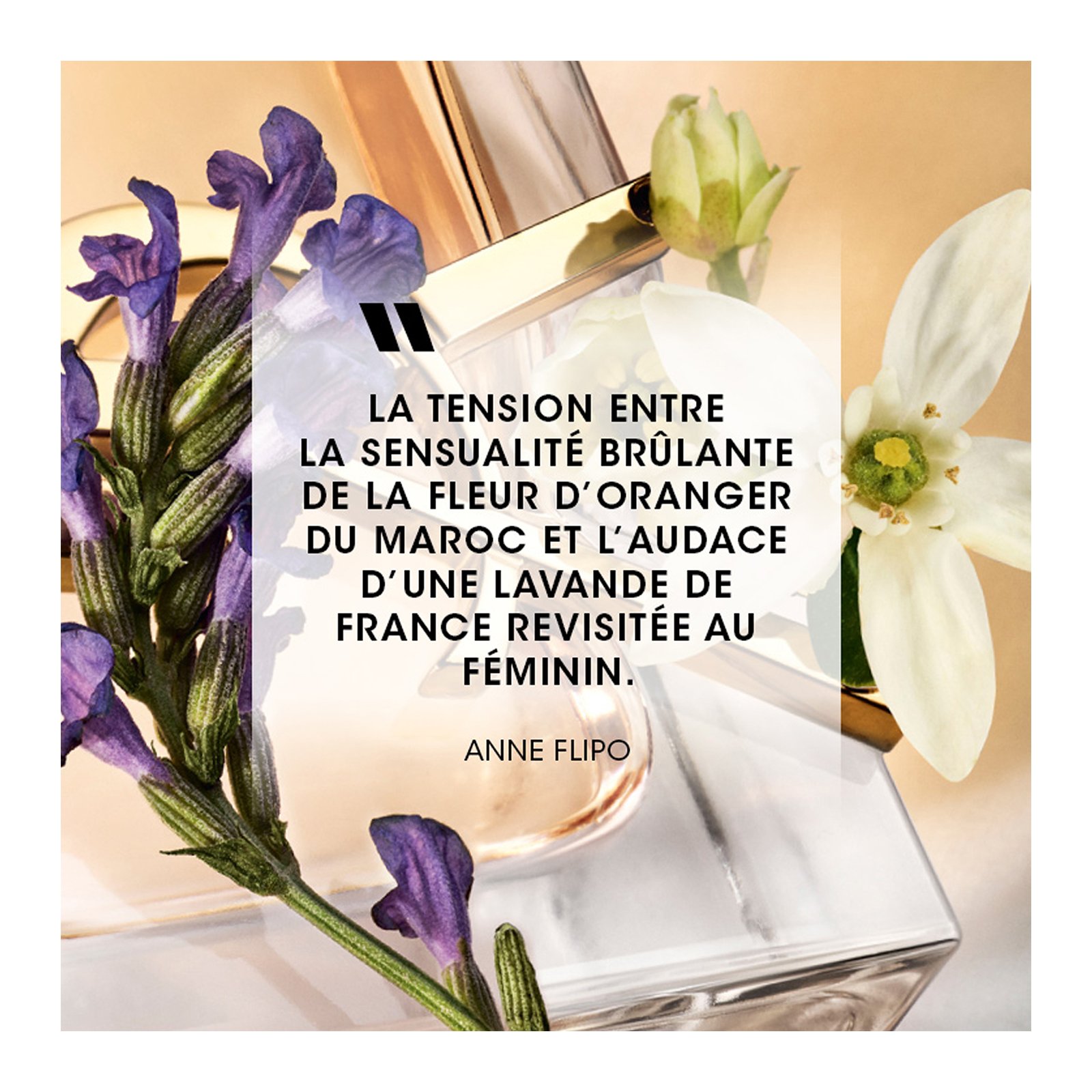 Libre Eau de Parfum - Edition limitée YVES SAINT LAURENT No color