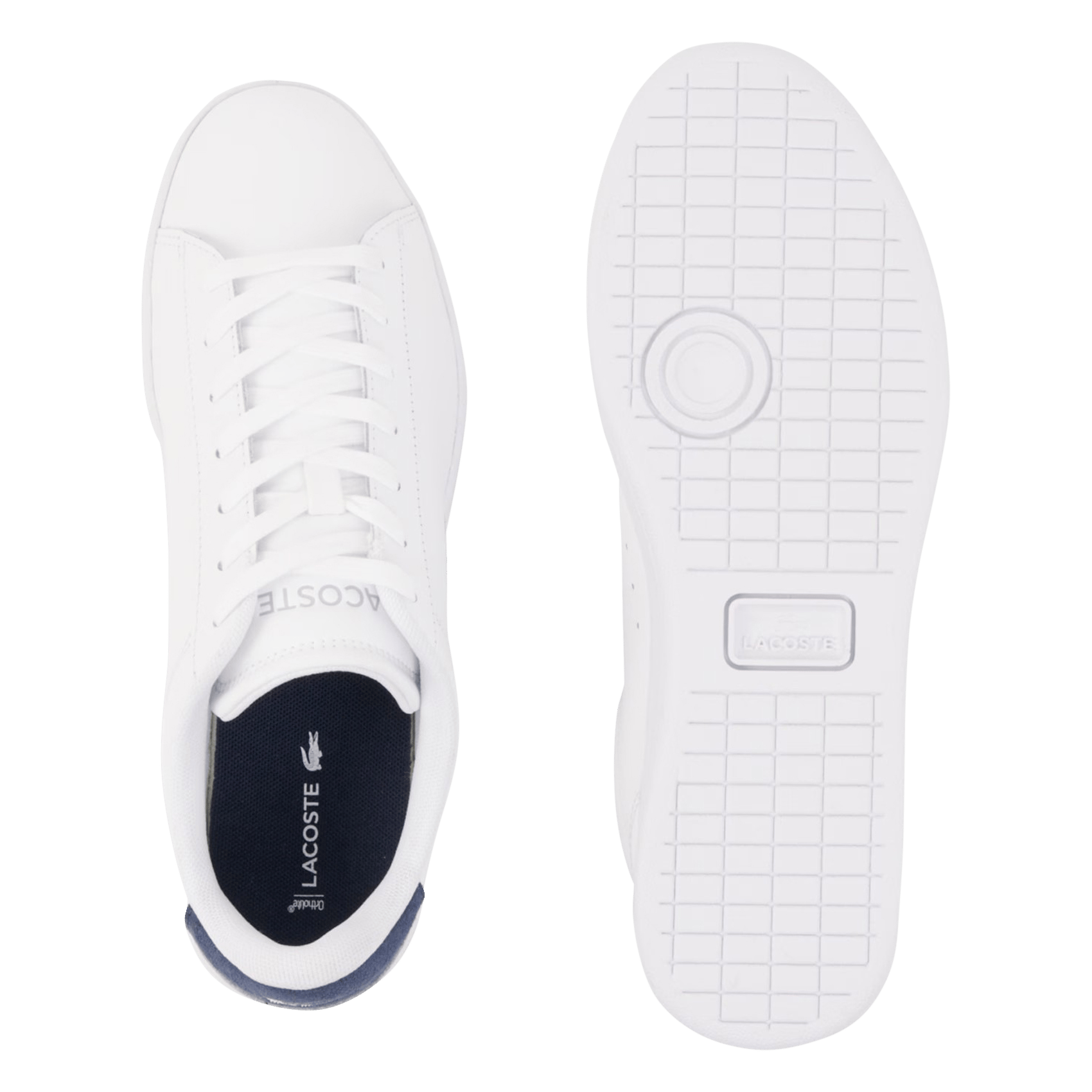 Baskets basses en cuir LACOSTE Multicolore