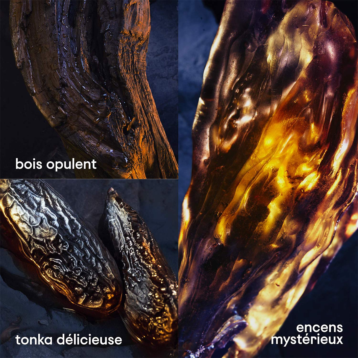 INVICTUS VICTORY ELIXIR - EAU DE PARFUM INTENSE PACO RABANNE No color