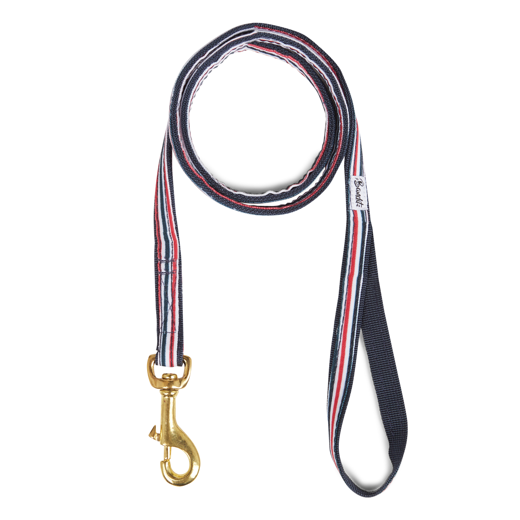 Laisse pour chien à rayures  Bleu