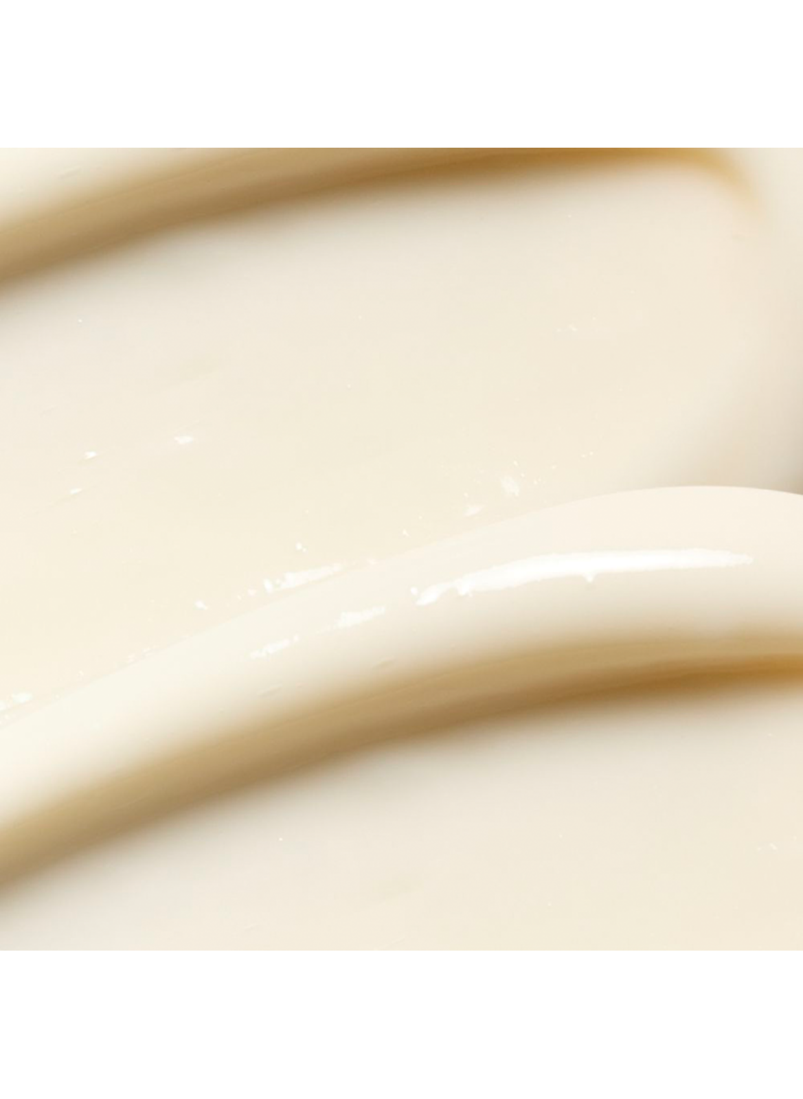 Nährende Creme PAYOT No color