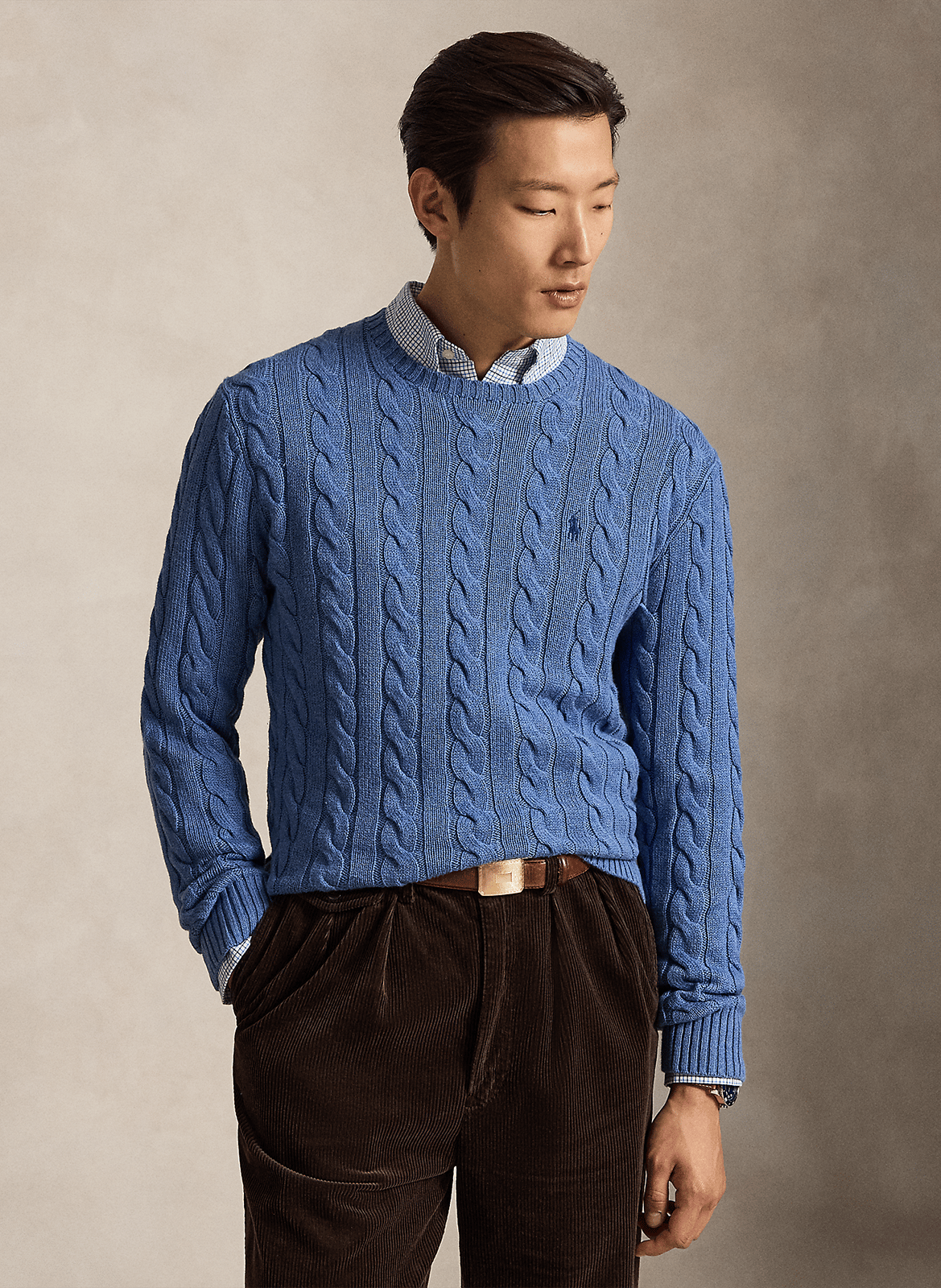 Regular-fit round-neck cotton sweater POLO RALPH LAUREN
