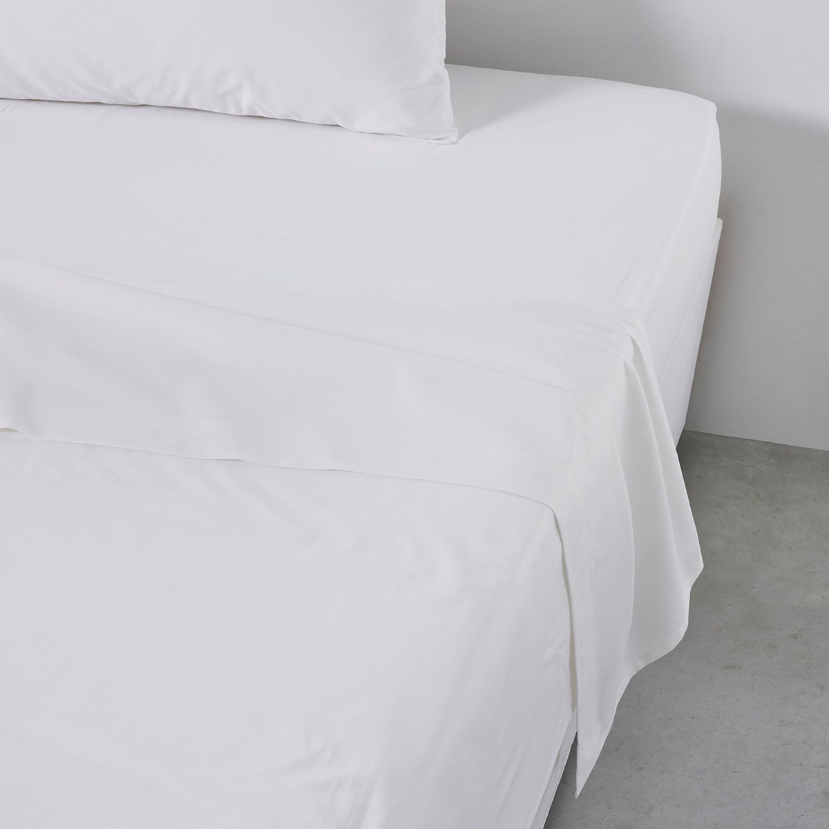 Flat sheet for bed in plain cotton TODAY LINGE DE MAISON White