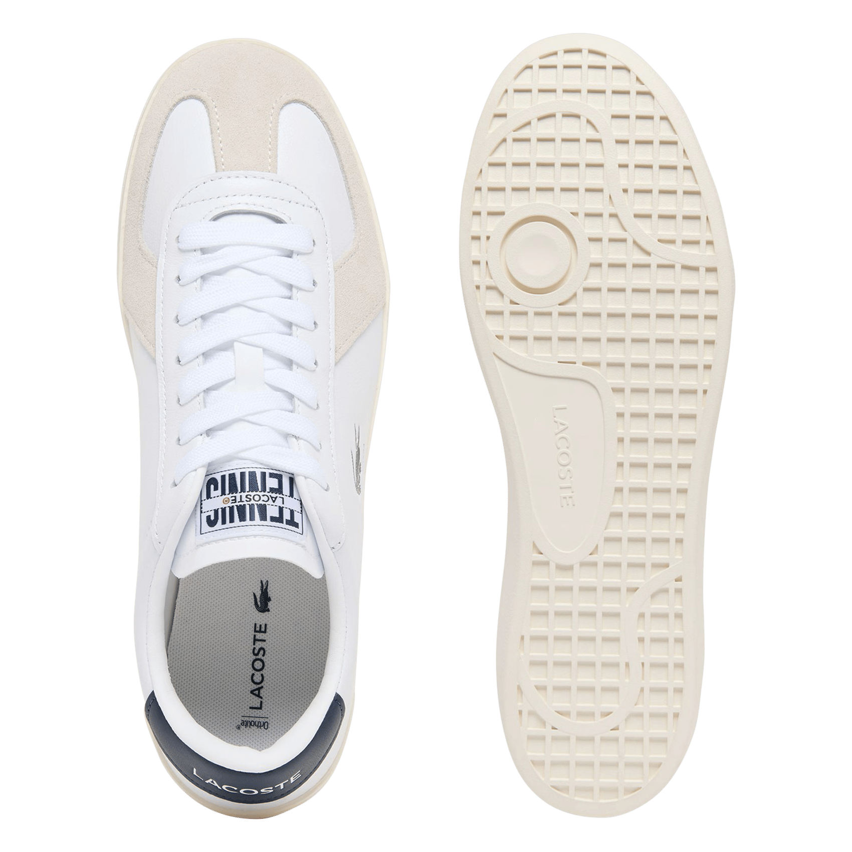 Baskets basses en cuir LACOSTE Multicolore