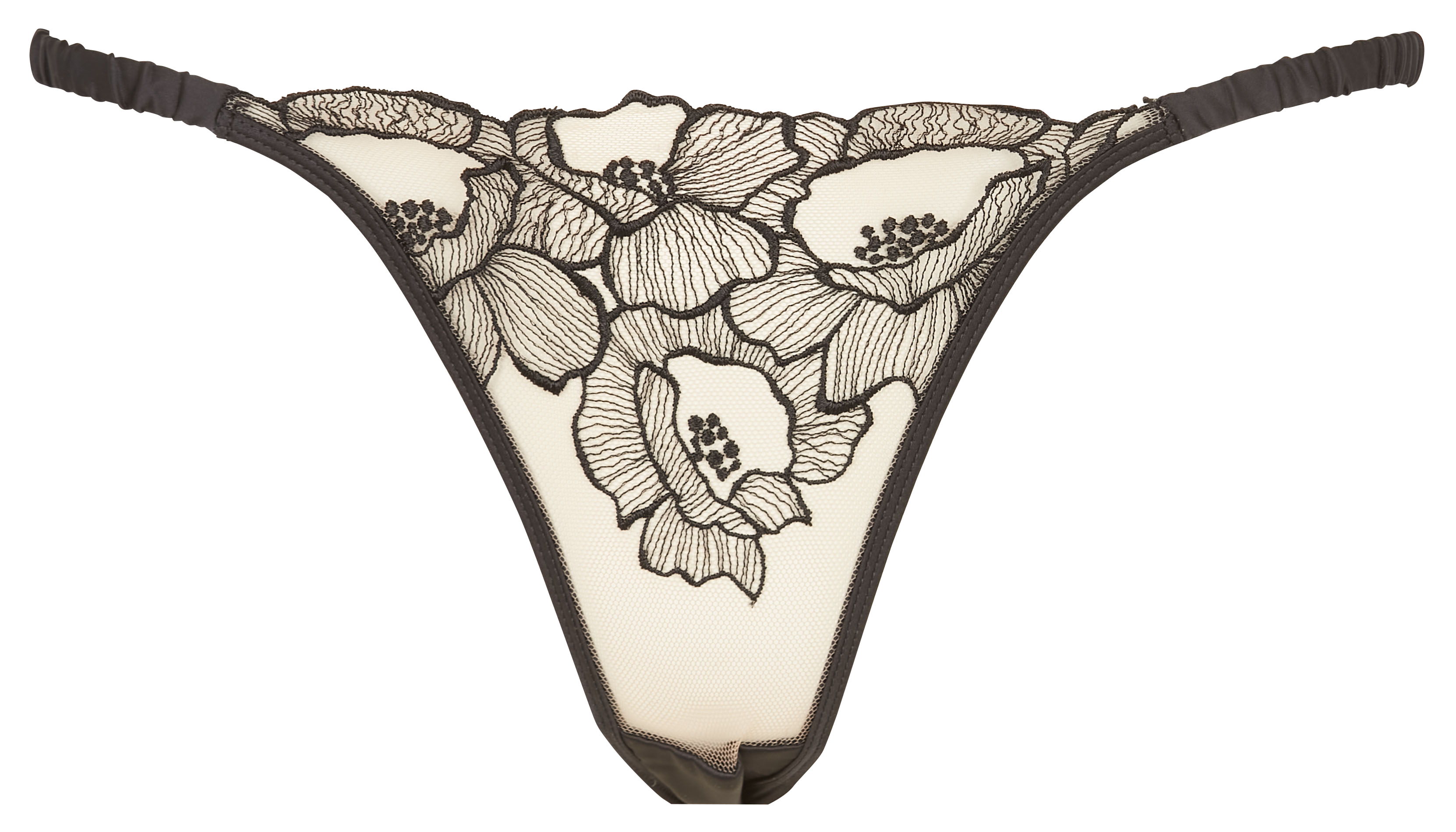 Shon-sharaf teshik porno