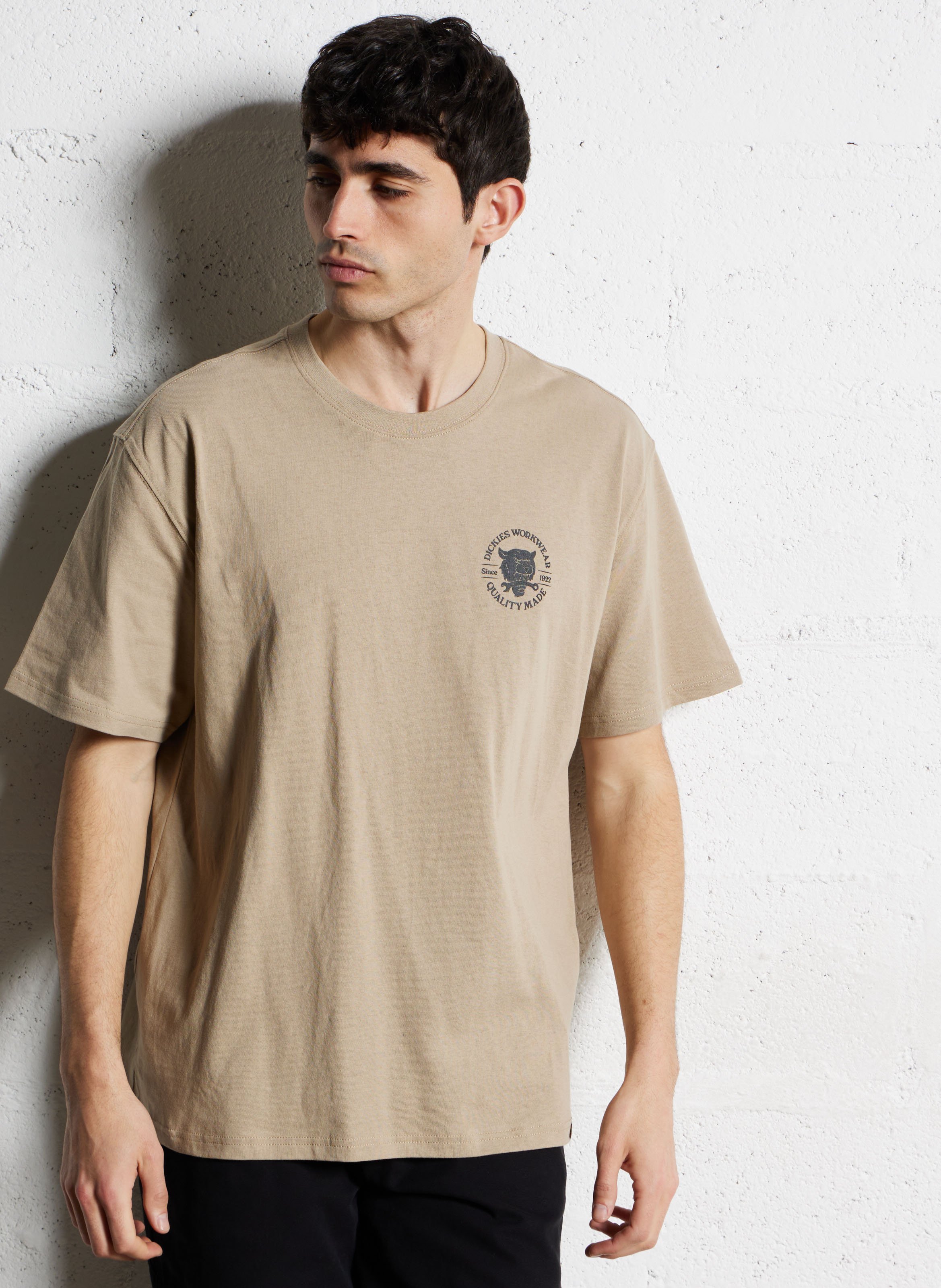 Cotton printed T-shirt DICKIES Beige