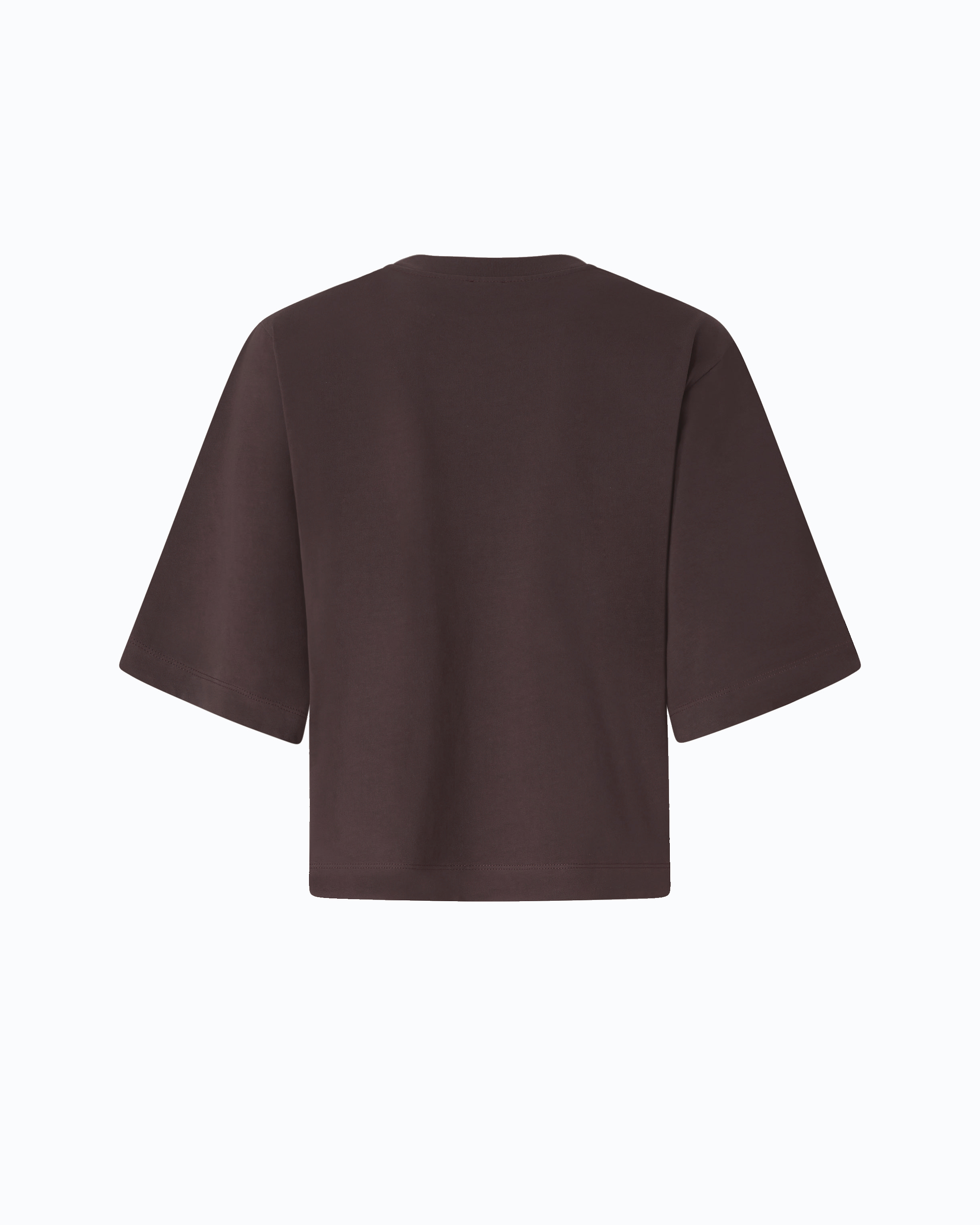 Wide-sleeved T-shirt with Love Birds logo | Brown PINKO Women