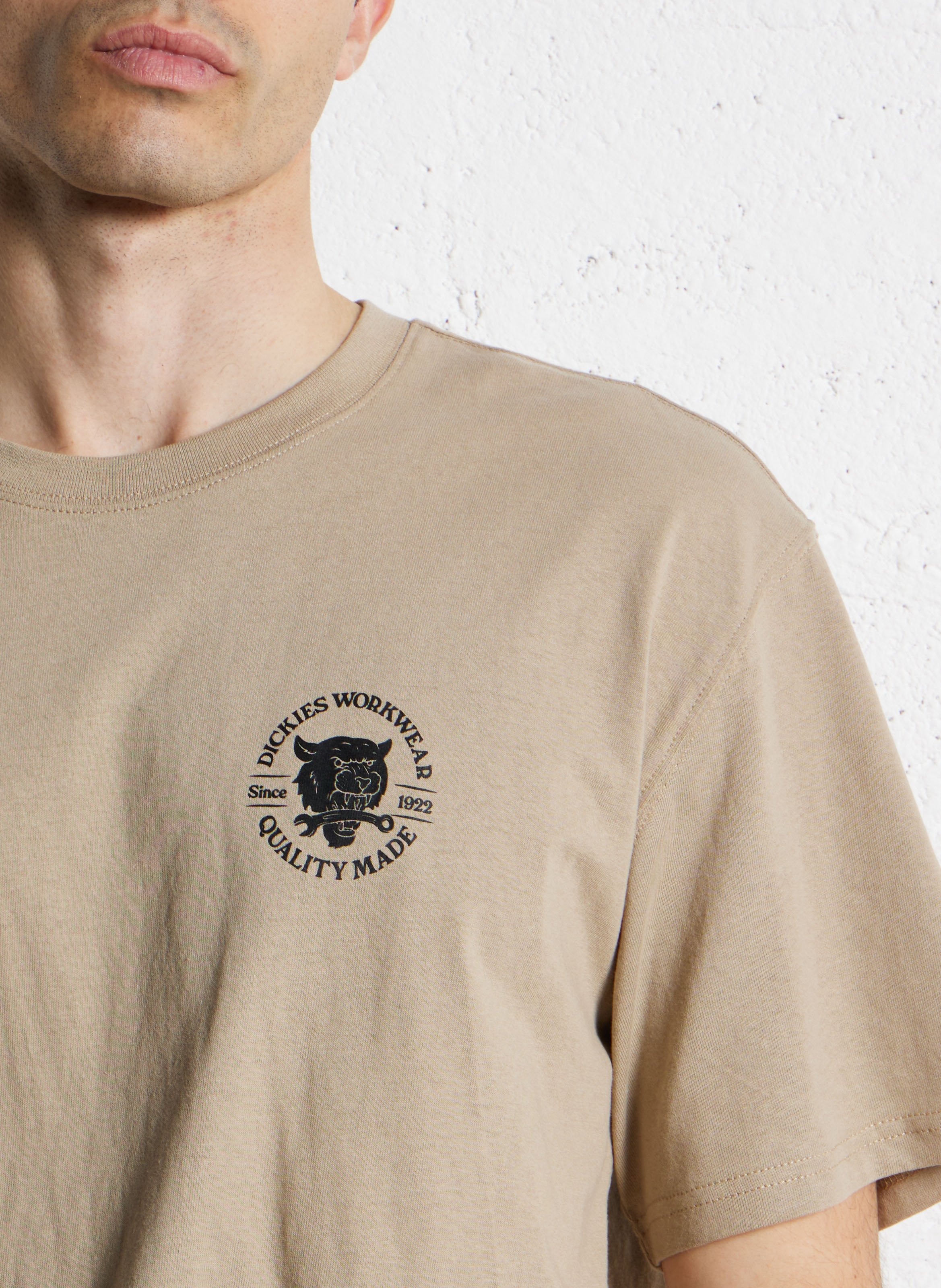 Cotton printed T-shirt DICKIES Beige