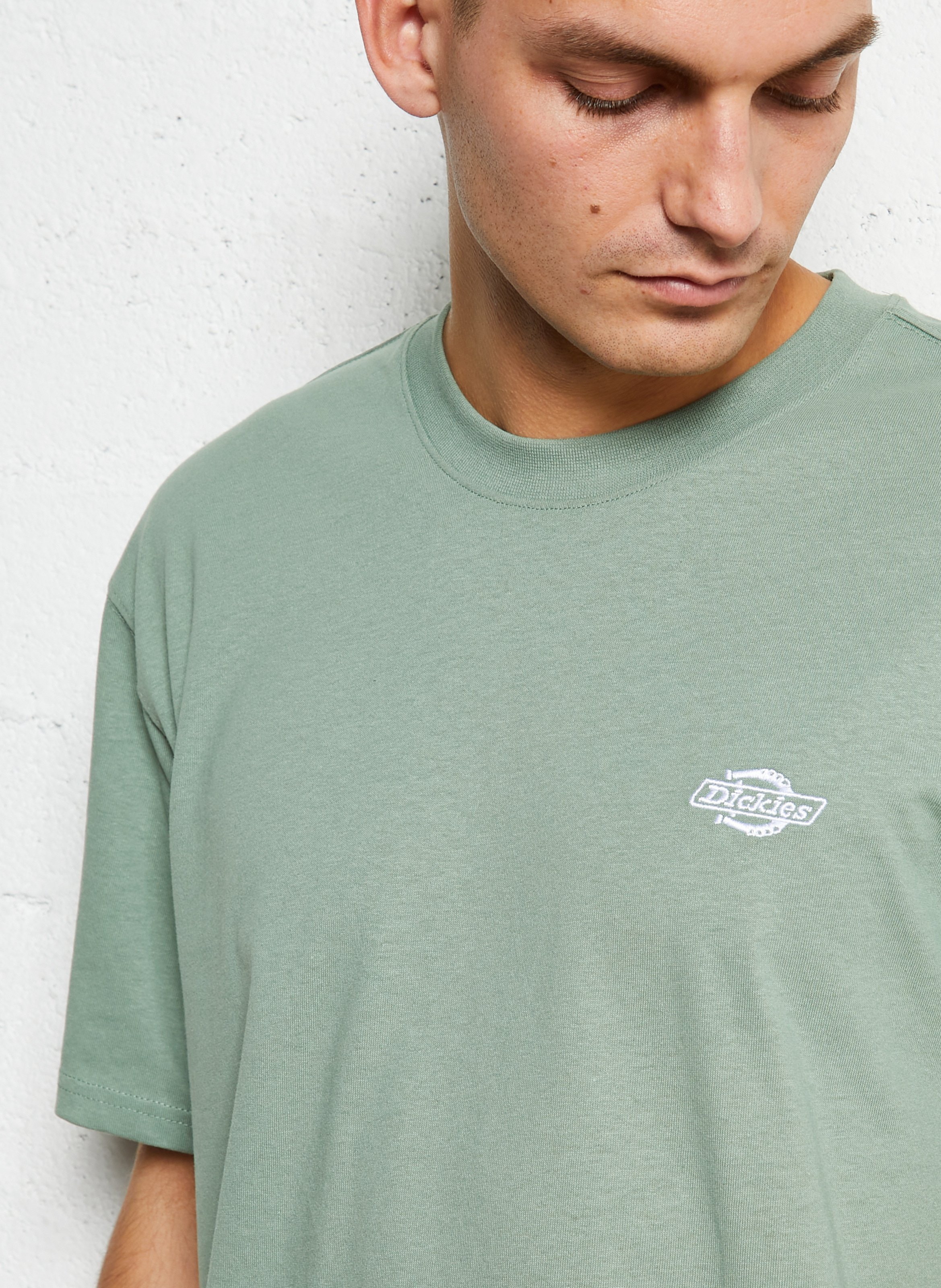 Effen T-shirt DICKIES Groen