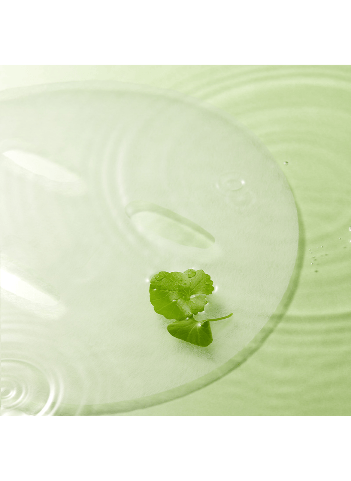 BALANCEFUL - MASQUE EN TISSU ÉQUILIBRANT À L'EXTRAIT DE CENTELLA ASIATICA TORRIDEN No color