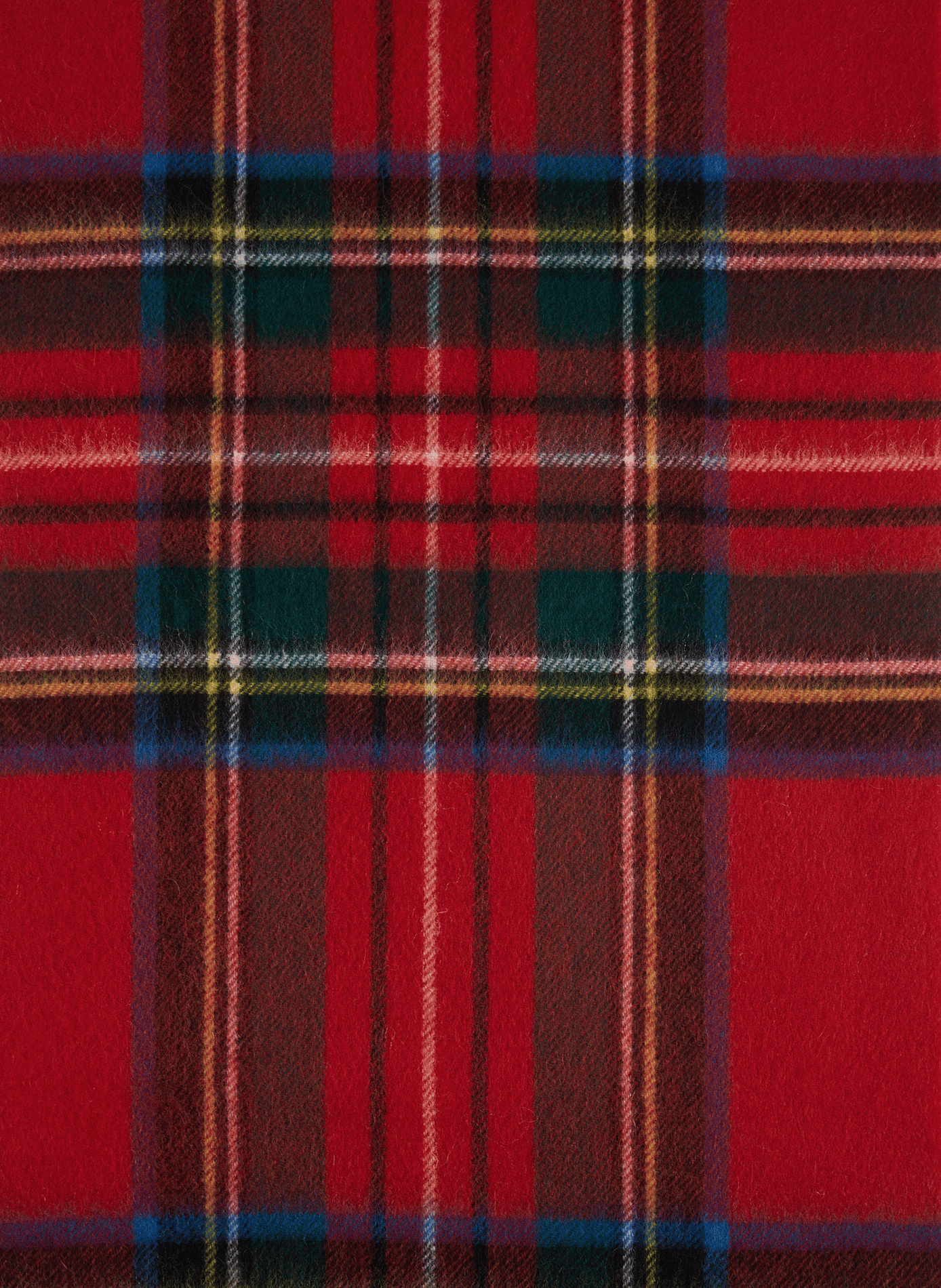 Checked cashmere scarf SAISON 1865 Multicolored