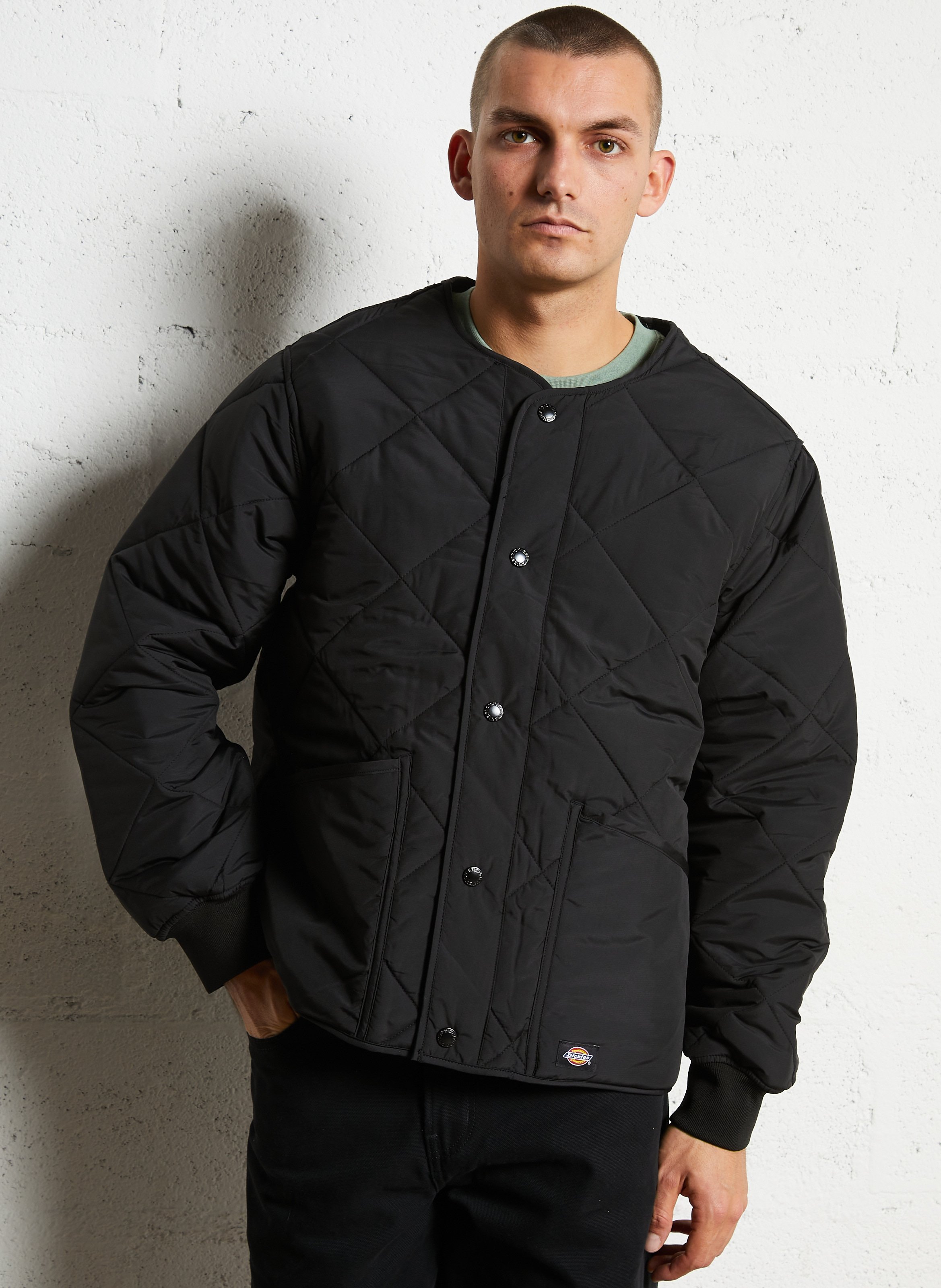 Oversized, gewatteerde jasje DICKIES Zwart