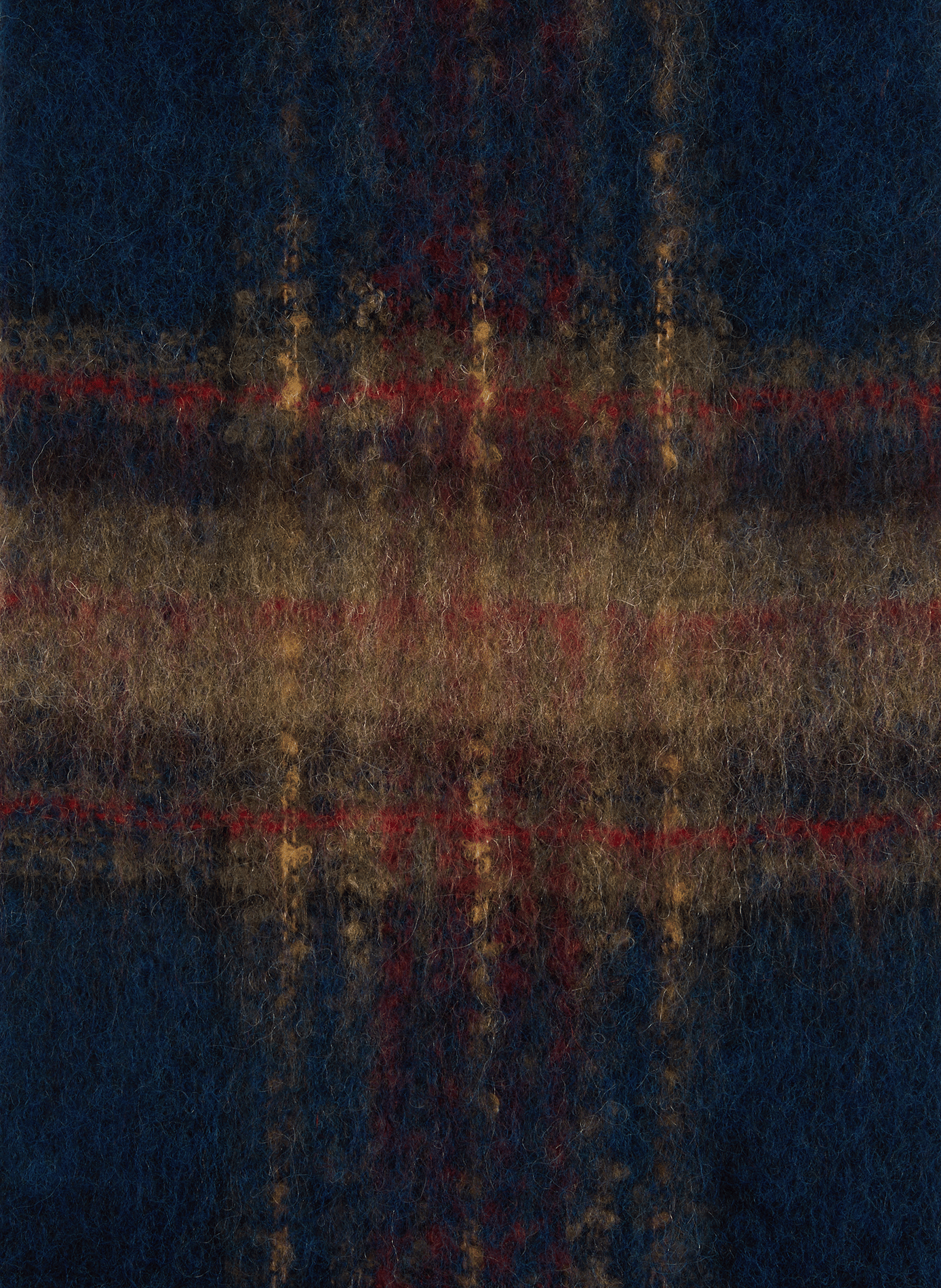 Checked scarf with fringed edges SAISON 1865 Multicolored