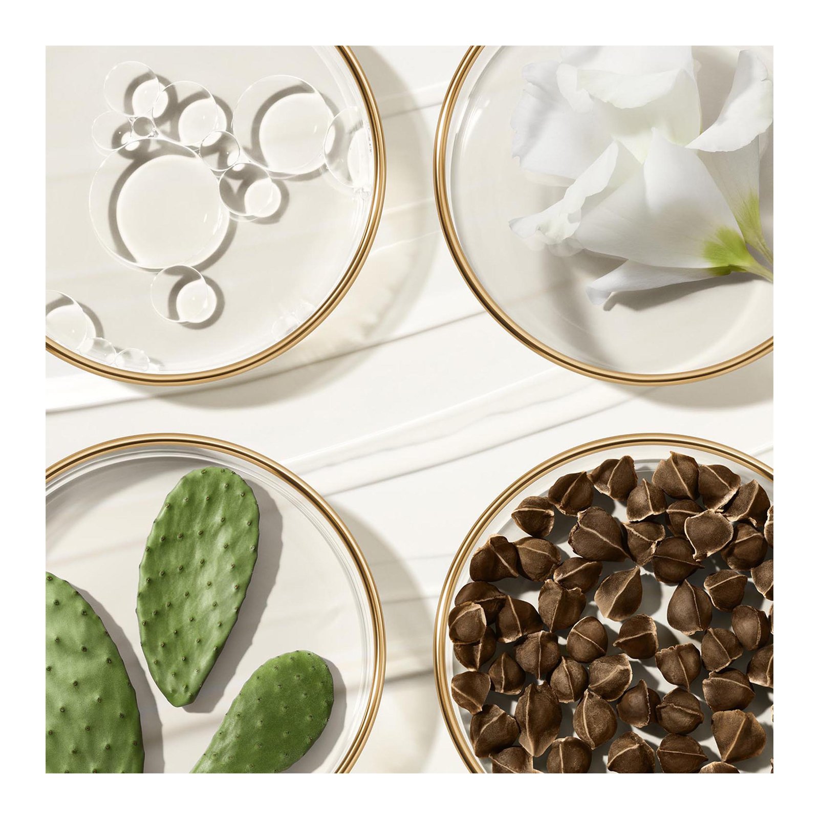 Revitalizing Supreme+ - Leichte Creme mit Anti-Aging-Effekt ESTEE LAUDER No color