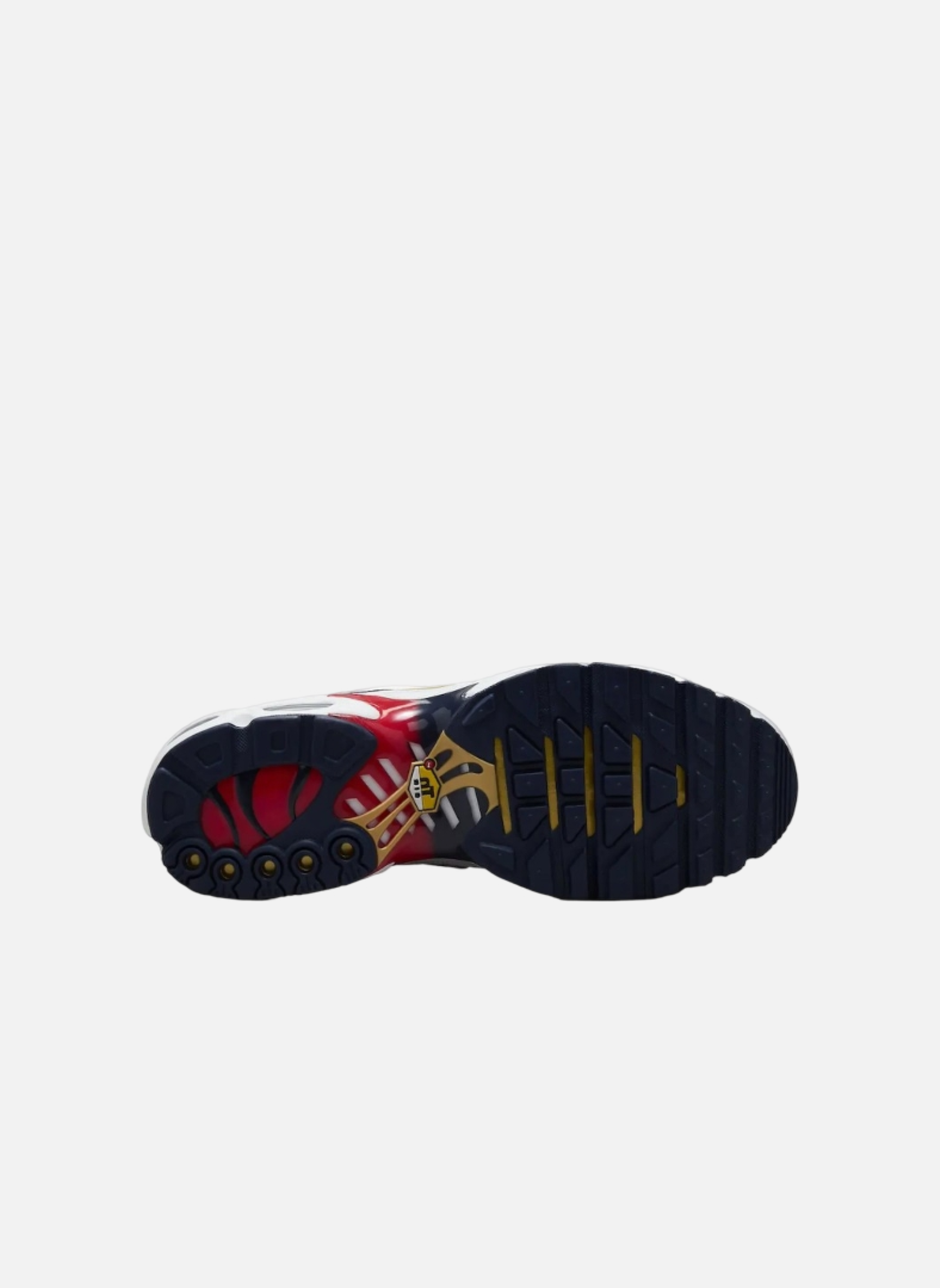 Air Max Plus NIKE Blue