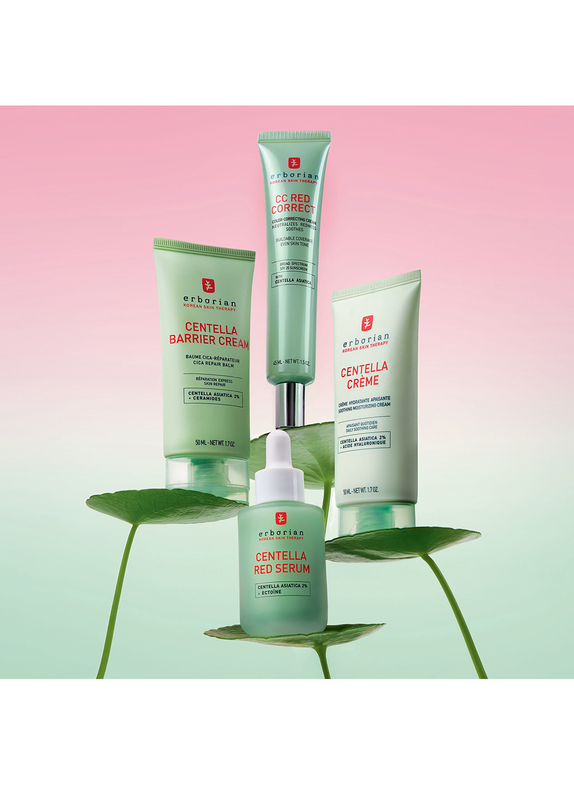 Centella Crème - Crème hydratante apaisante ERBORIAN No color