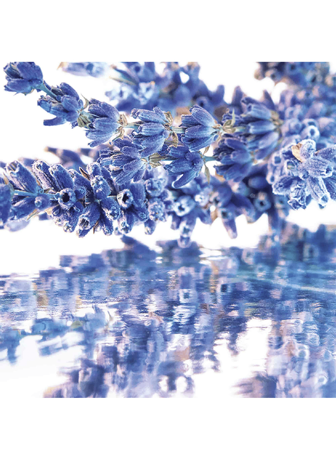 Mon Guerlain - Coffret Eau de Parfum GUERLAIN No color