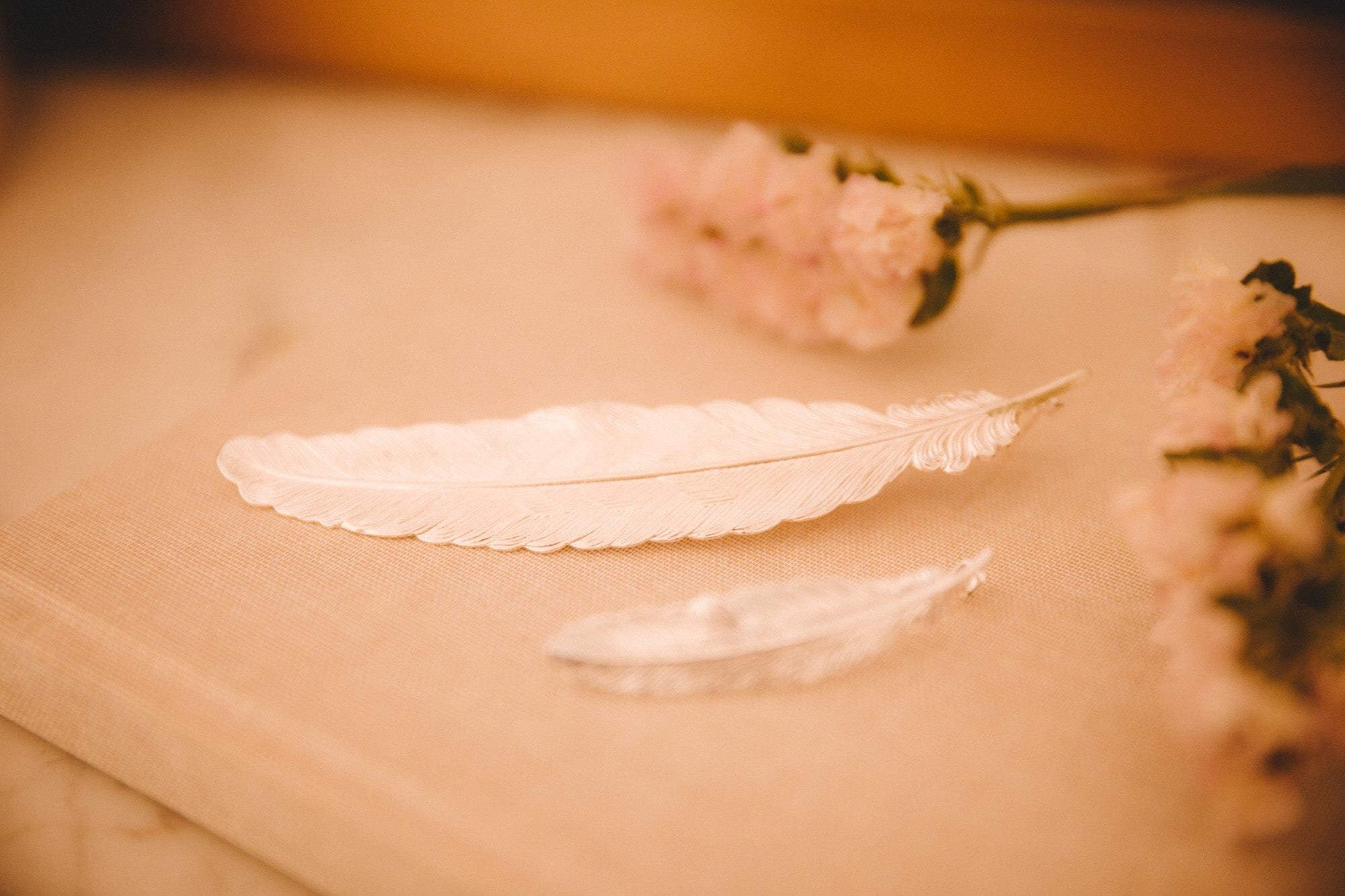 Single maxi stud earring with gold-plated feather MONSIEUR SIMONE Silver