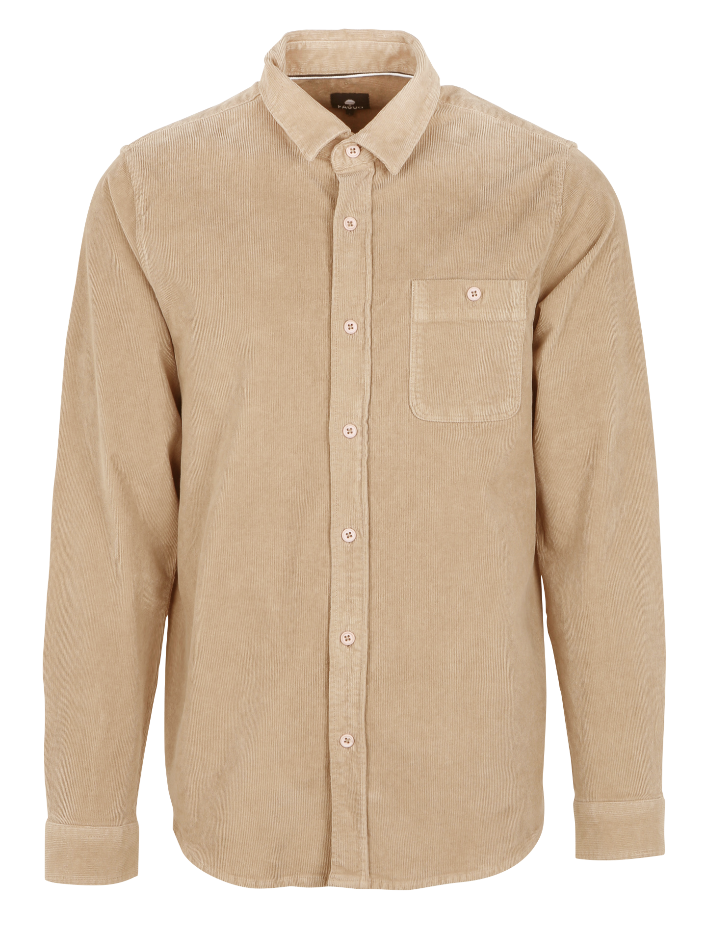 Chemise col classique en velours côtelé FAGUO Beige