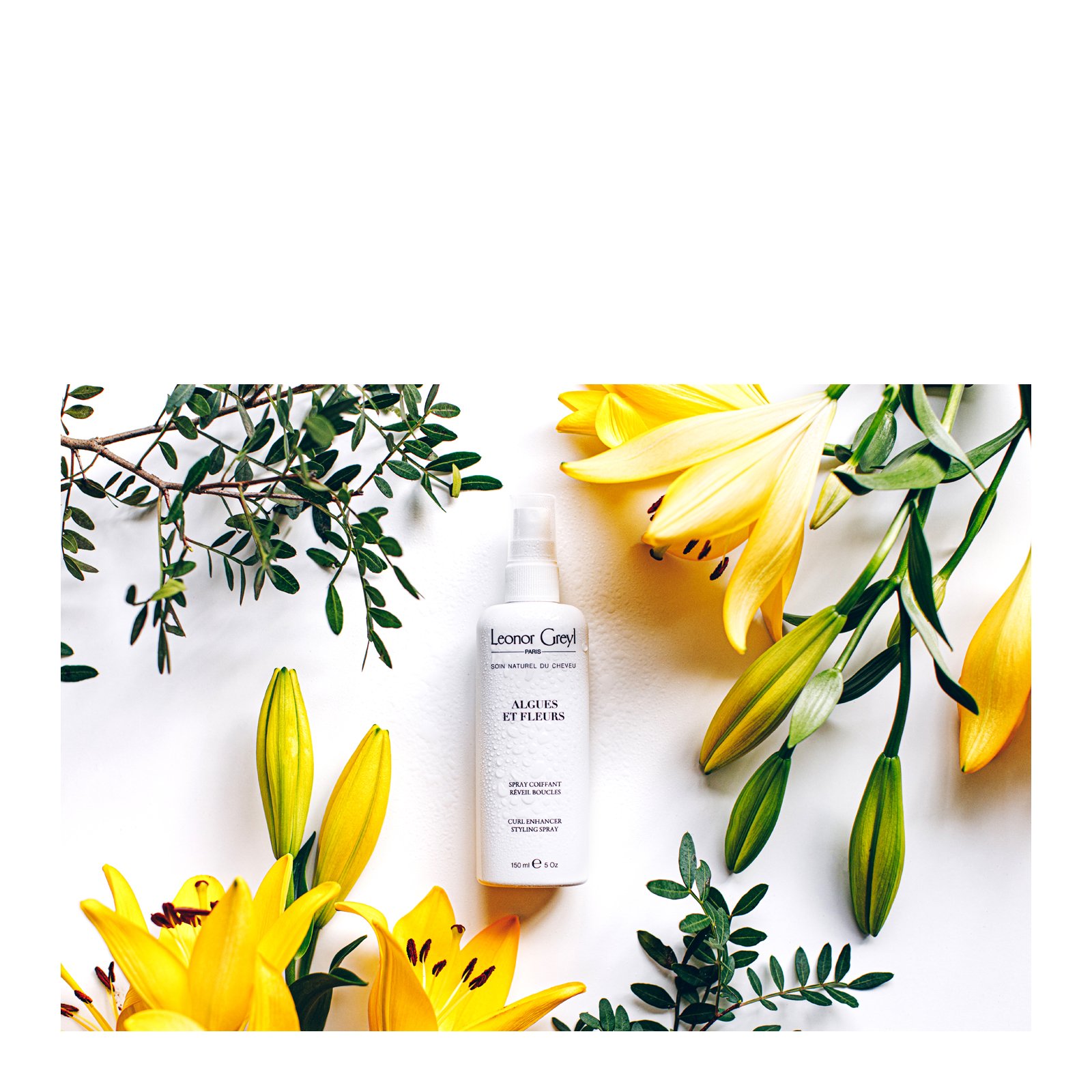 Seaweed and Flower Spray LEONOR GREYL No color