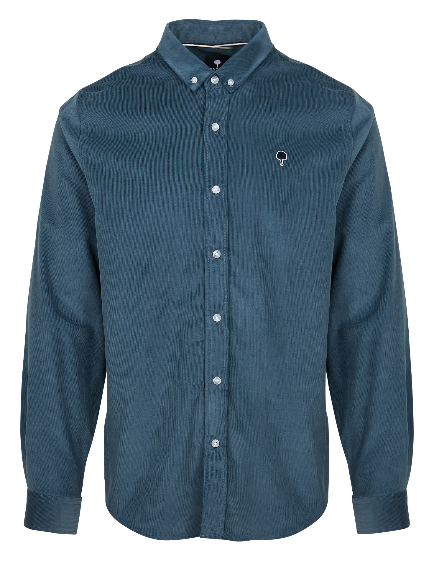 Straight shirt with buttoned collar in ribbed cotton velvet FAGUO Blue