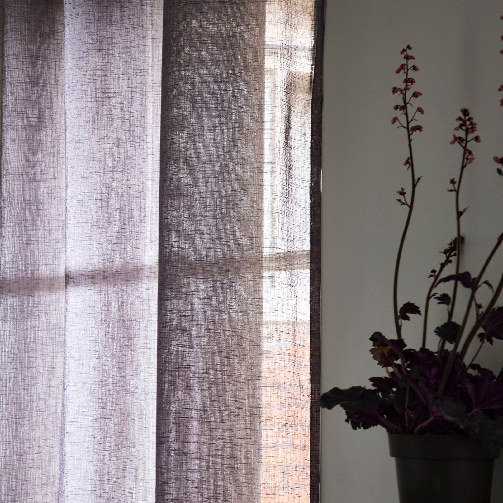 MILOS - Net curtain with eyelets MADURA Grey