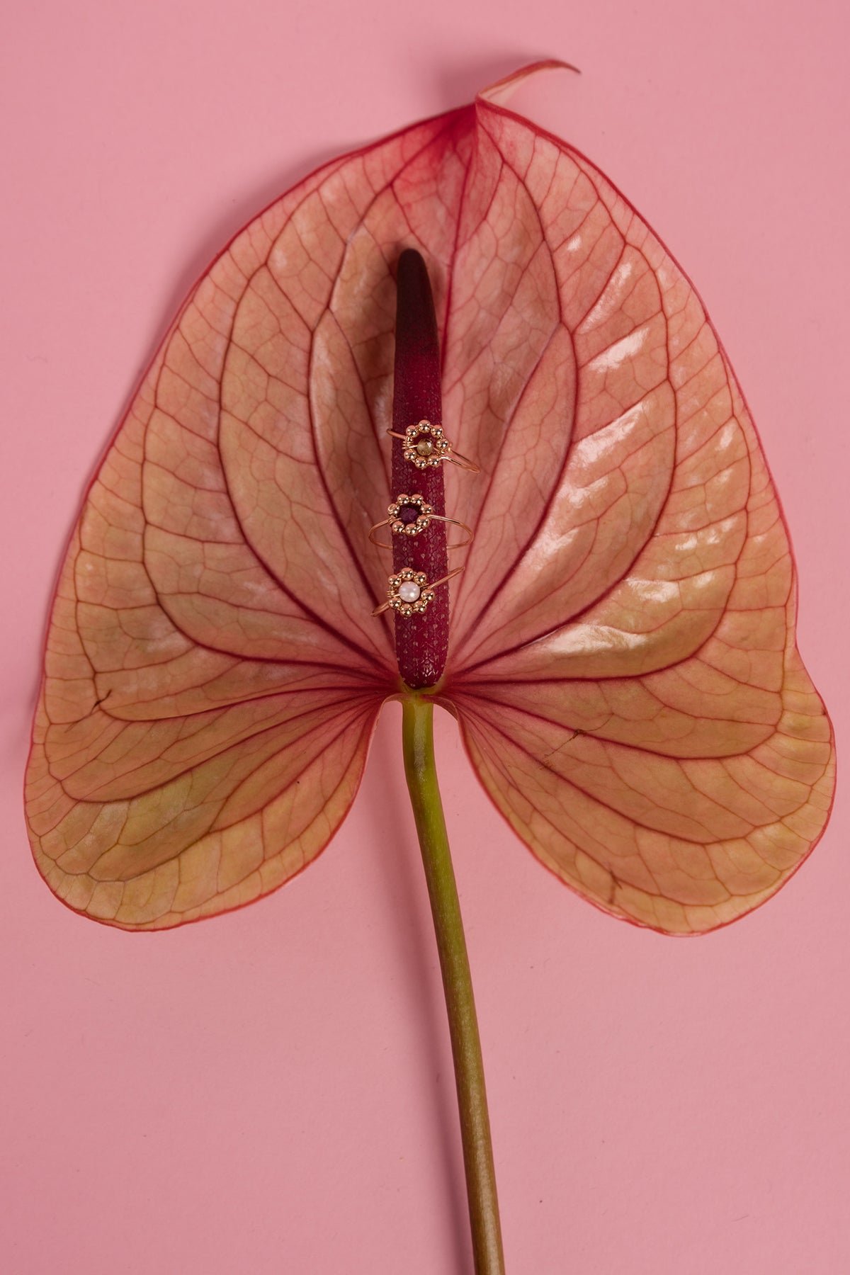 Bague daisy - rubis YAY Rose