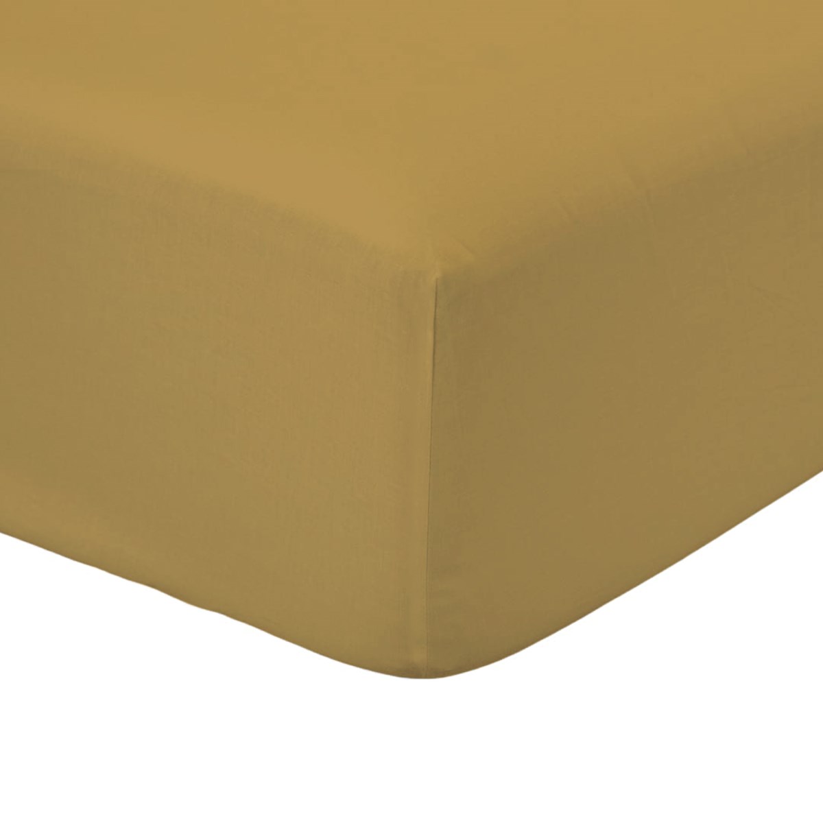 Solid color fitted sheet in cotton TODAY LINGE DE MAISON Brown