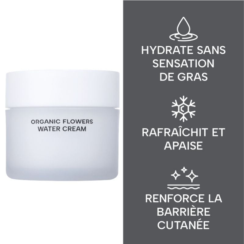 Moisturizing Cream with Fermented Organic Flowers WHAMISA No color