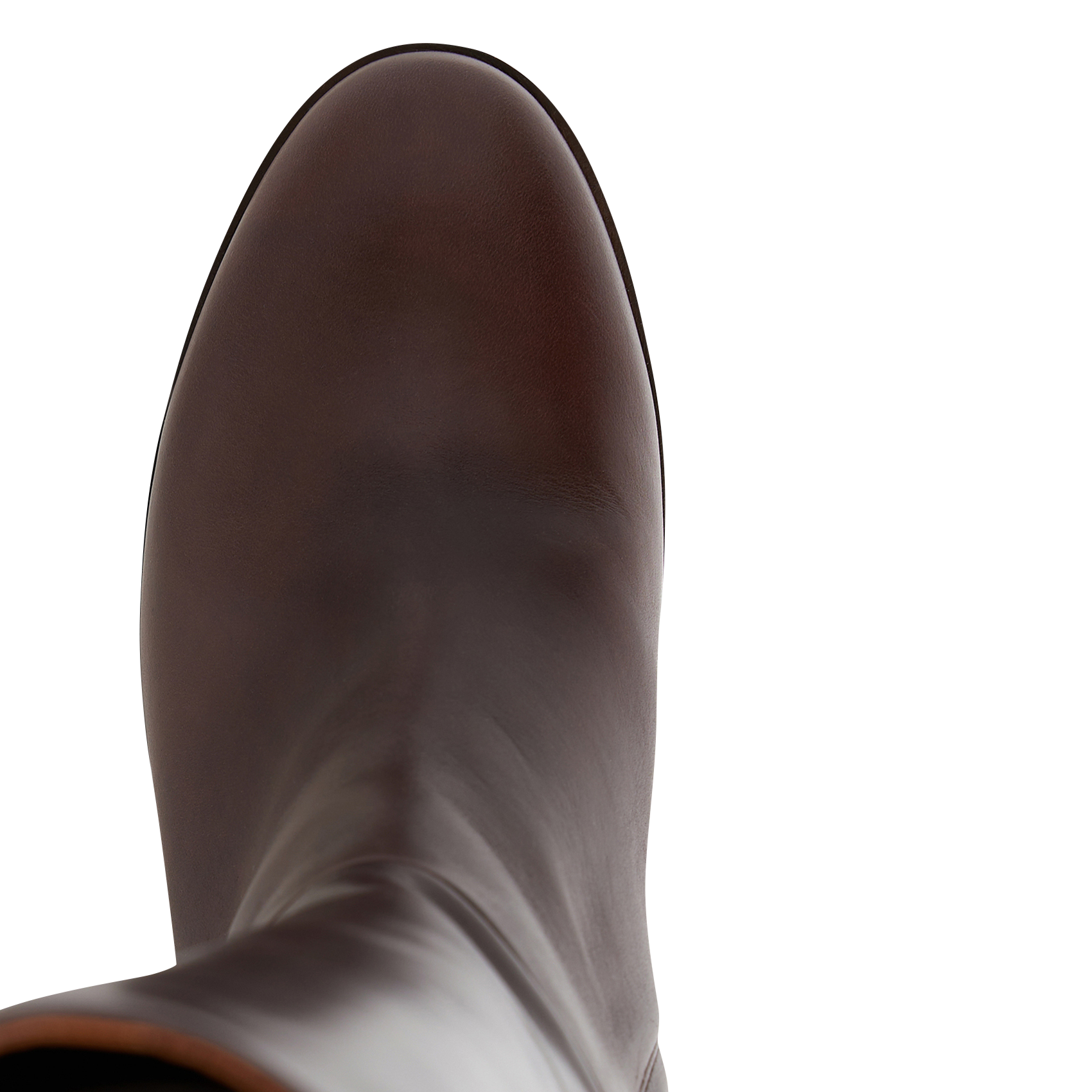 Bottes en cuir PABLO Marron