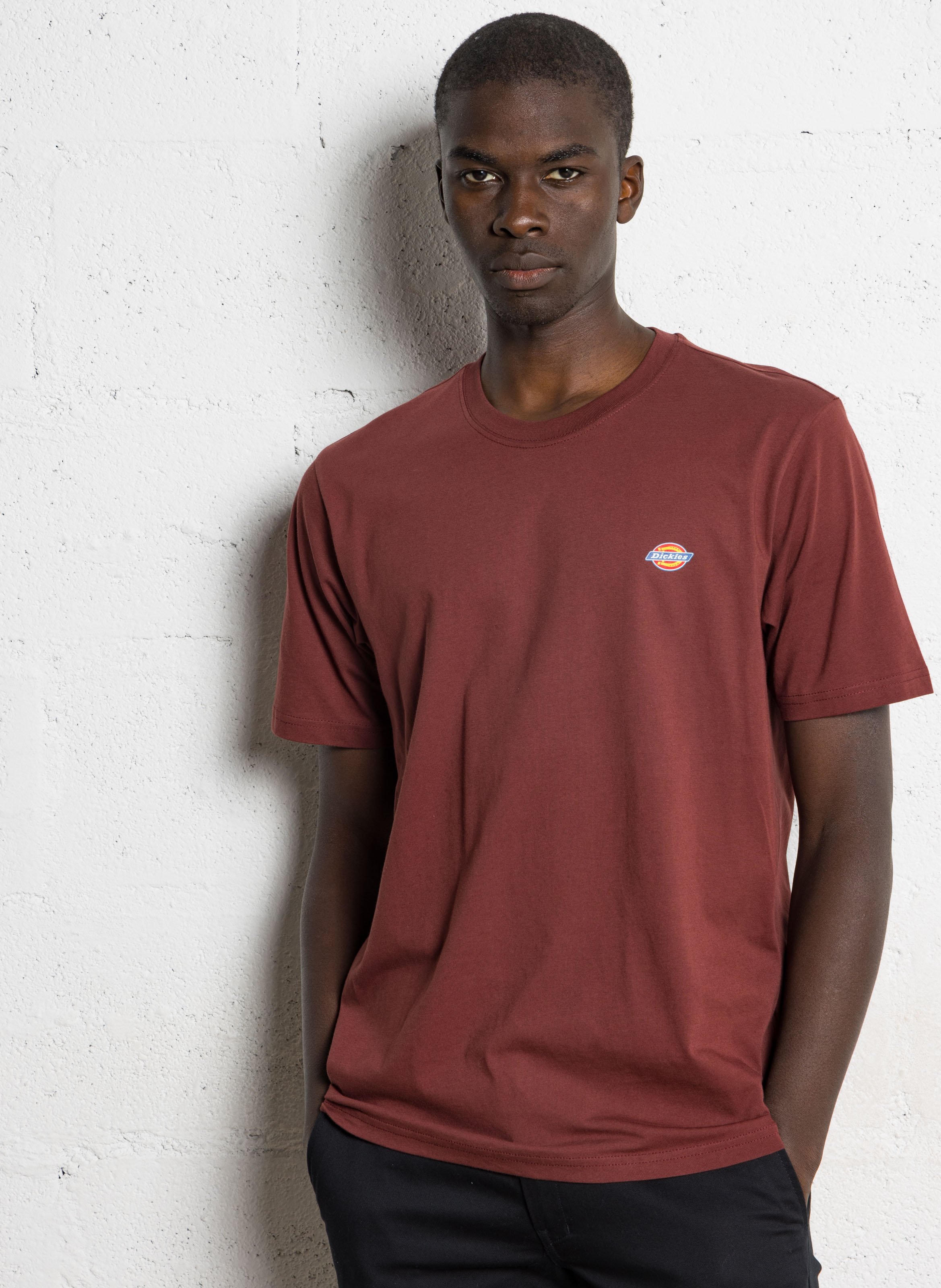 Tee-shirt droit col rond en coton DICKIES