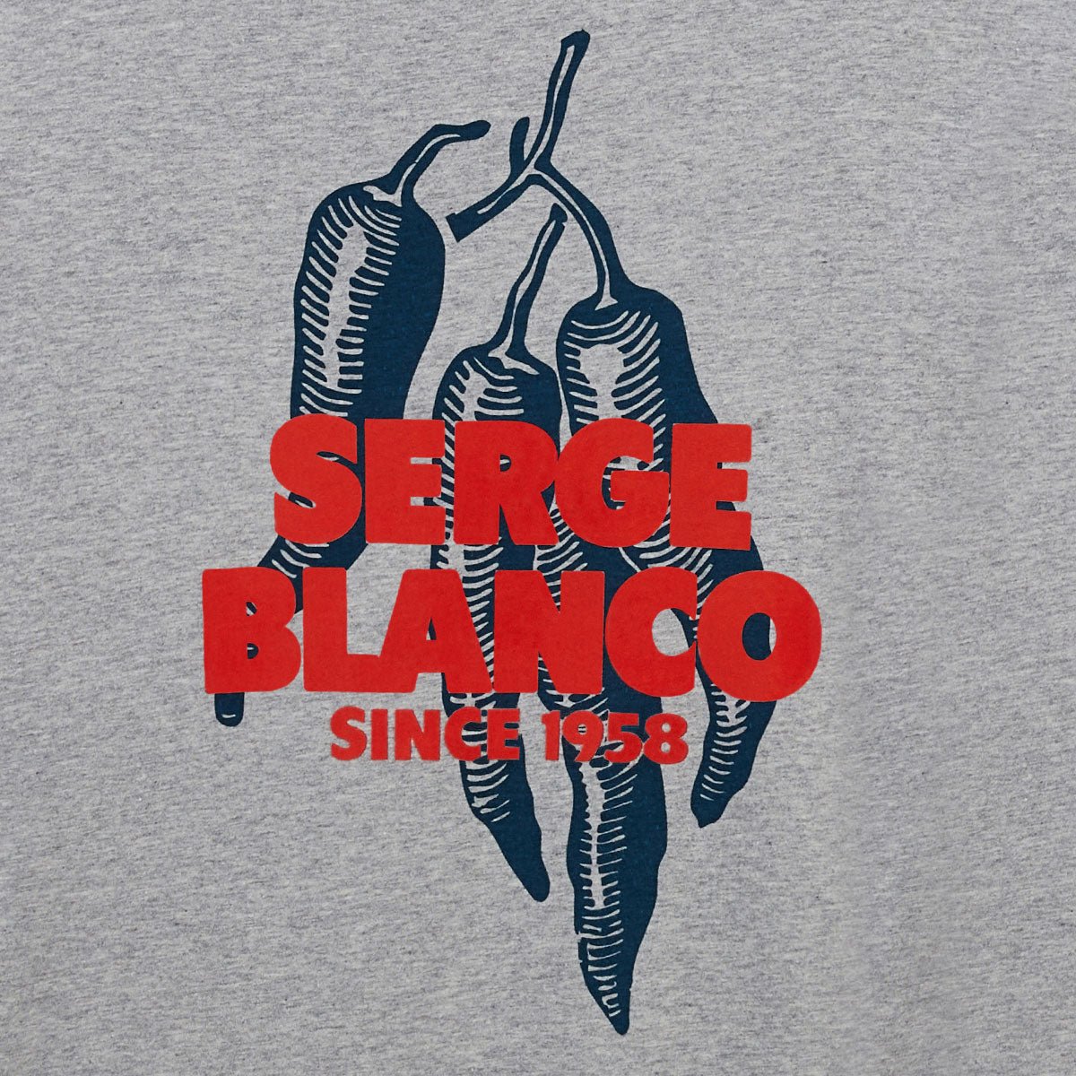 Round neck T-shirt with chili peppers printed on the back in cotton. SERGE BLANCO Grey
