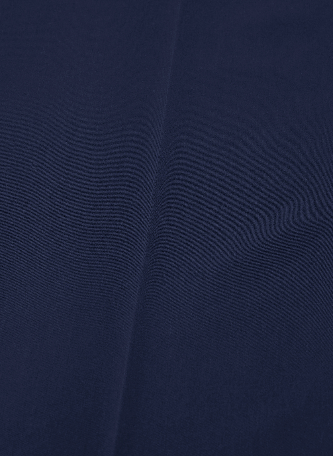 Wijde pantalon met een pasvorm. FABIENNE CHAPOT Blauw