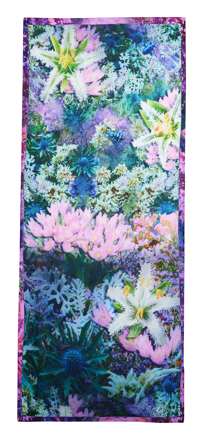 Printed rectangular floaty scarf DESIGUAL Blue