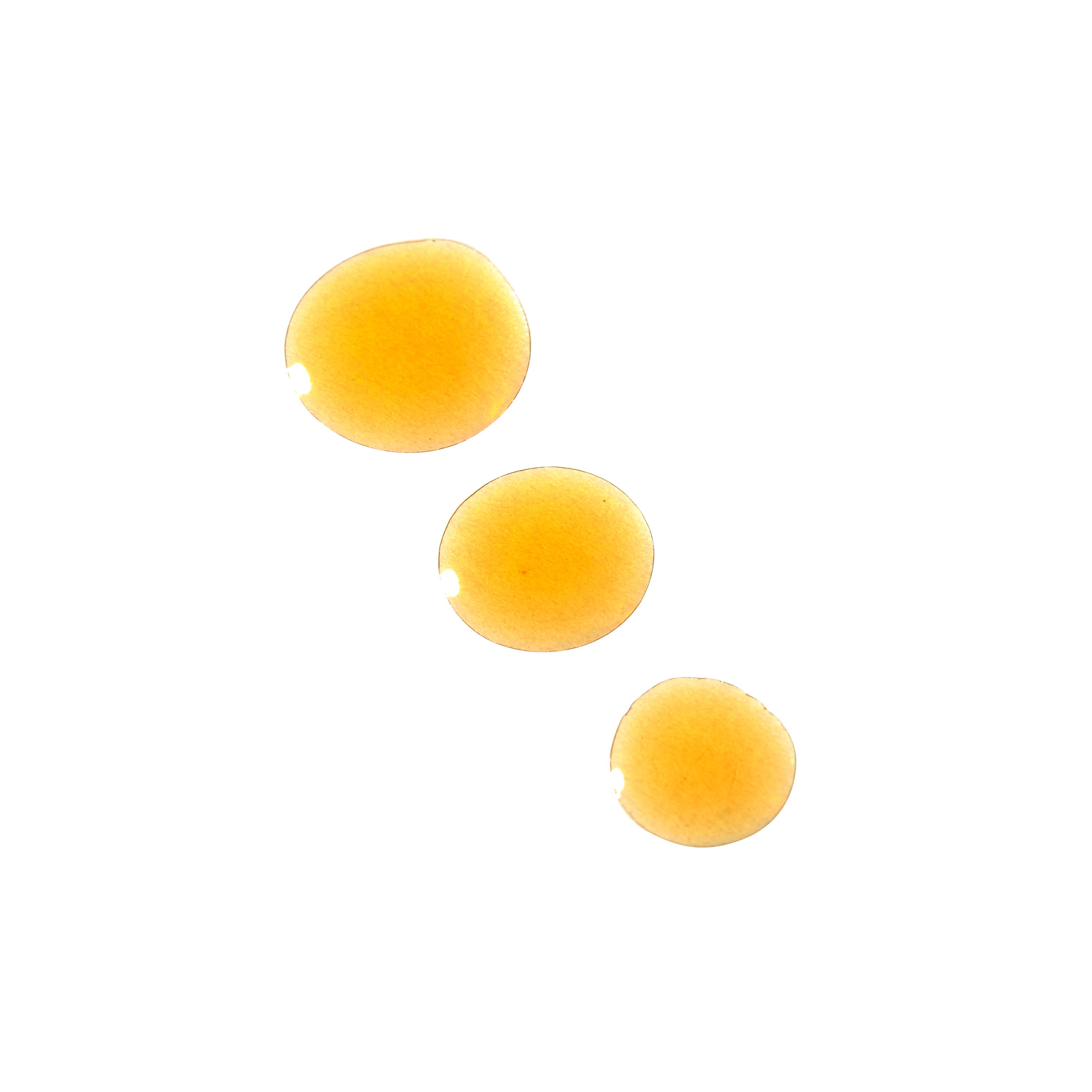 Viper?s-bugloss & Amaranth Age Confidence Face Oil PAI SKINCARE No color