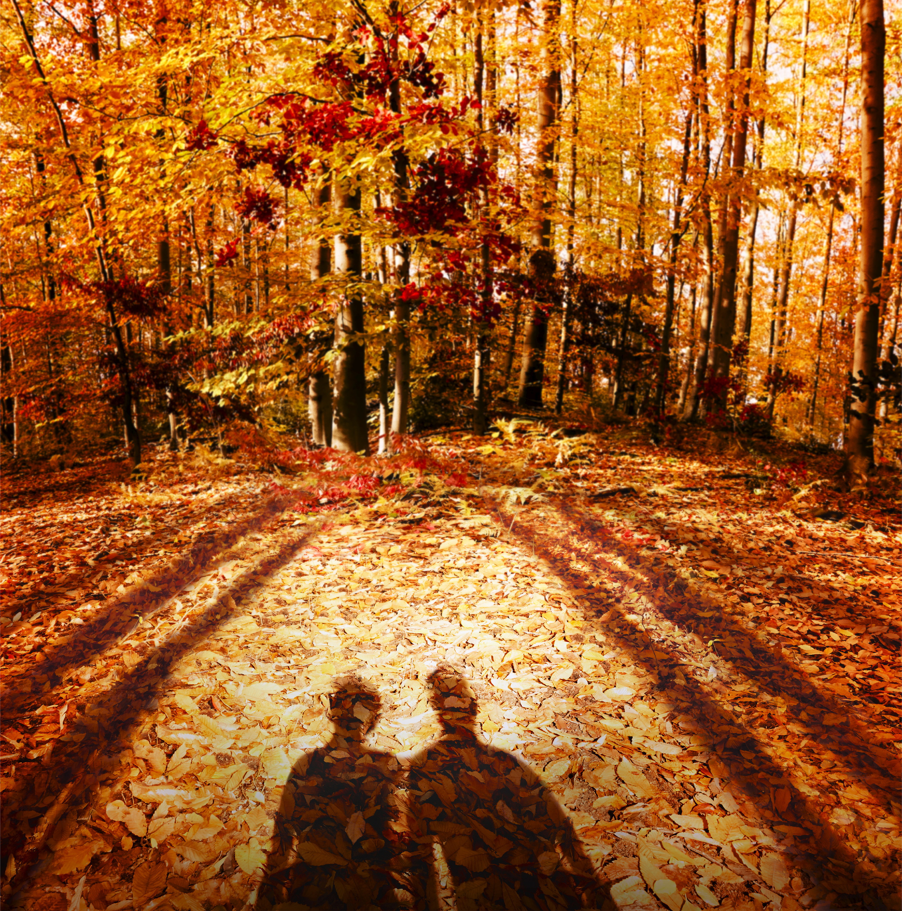 Replica Autumn Vibes - Parfum MAISON MARGIELA No color